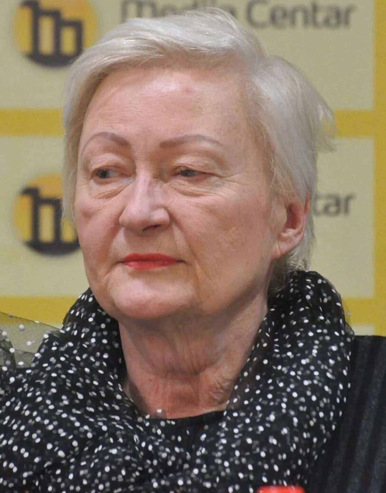 Porträt von Svetlana Broz (1955–2025) – Gedenkseite