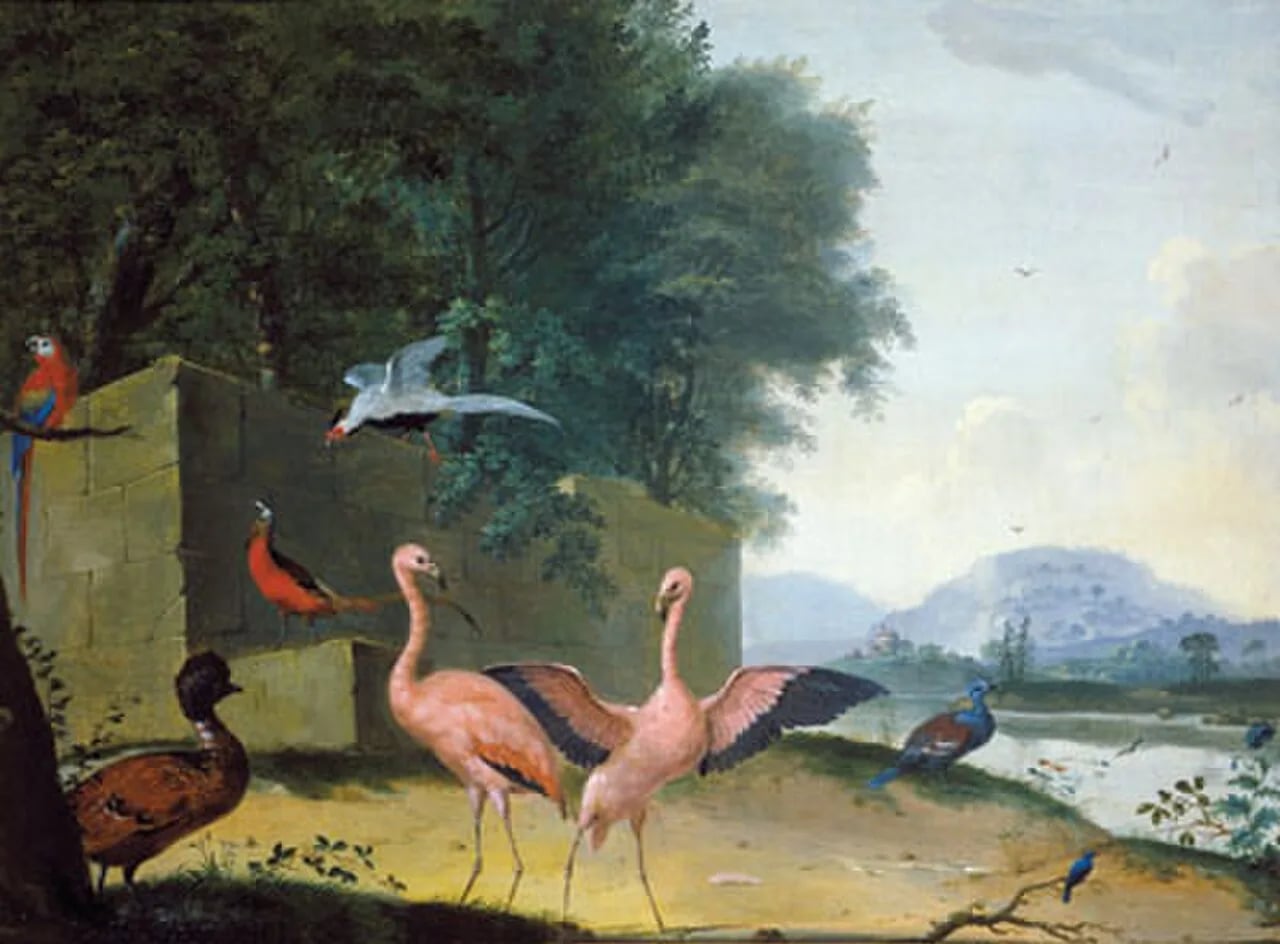 Portrait of Johannes van Bronckhorst (1648–1727) – memorial page