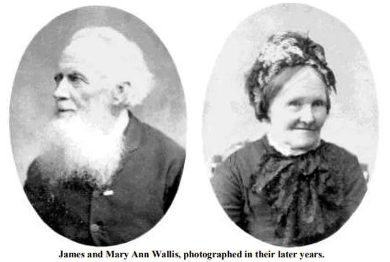 Portrait of Mary Wallis (1802–1893) – memorial page