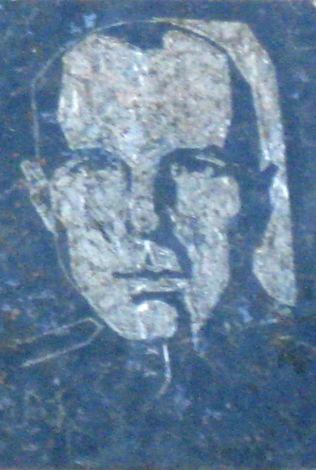 Portrait of Roman Bortnyk (1908–1945) – memorial page