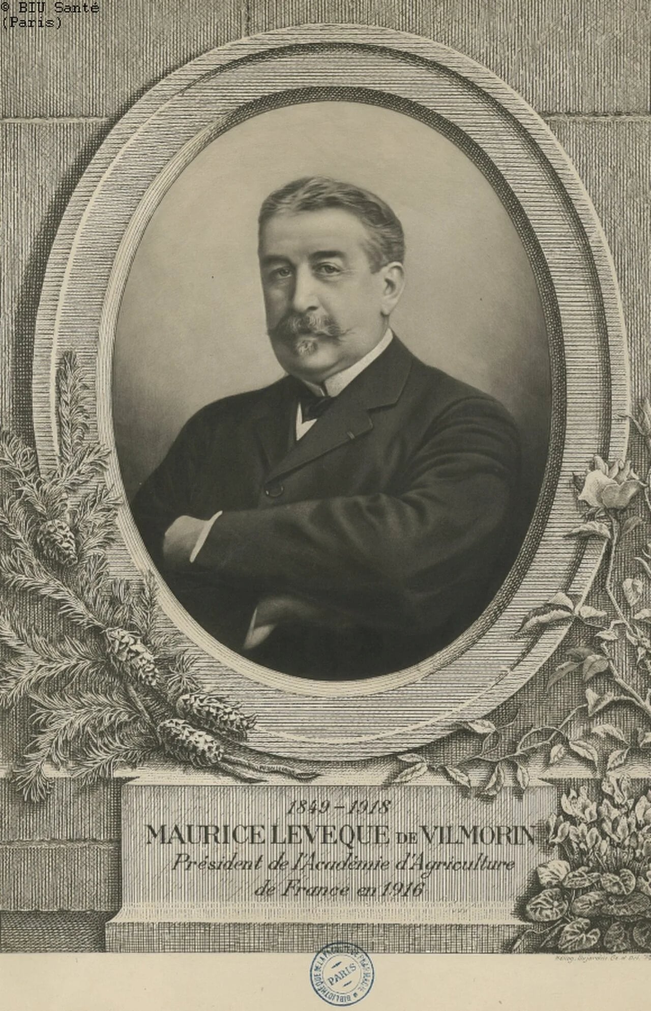 Porträt von Maurice de Vilmorin (1849–1918) – Gedenkseite