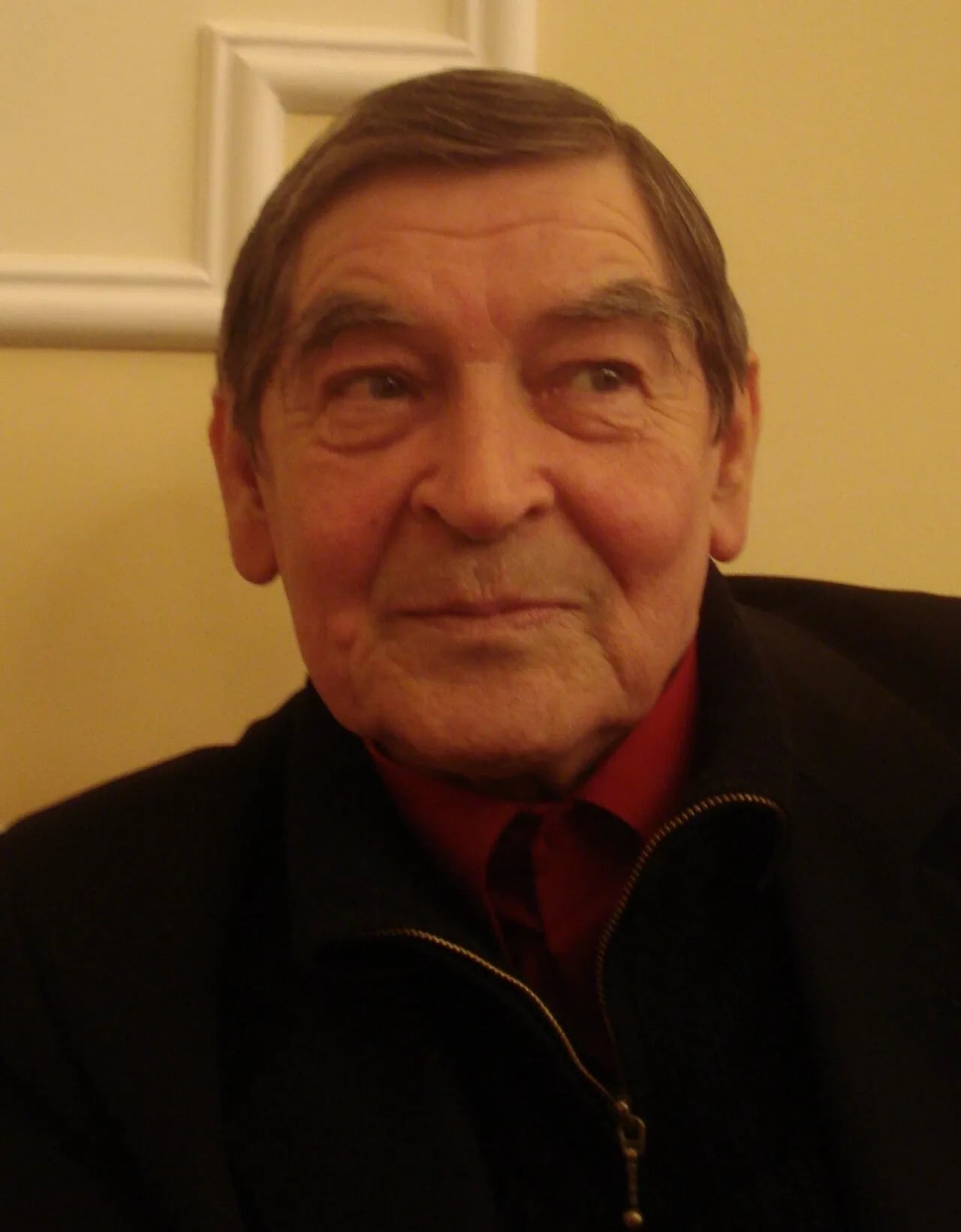Porträt von Vladimiras Jefremovas (1942–2009) – Gedenkseite