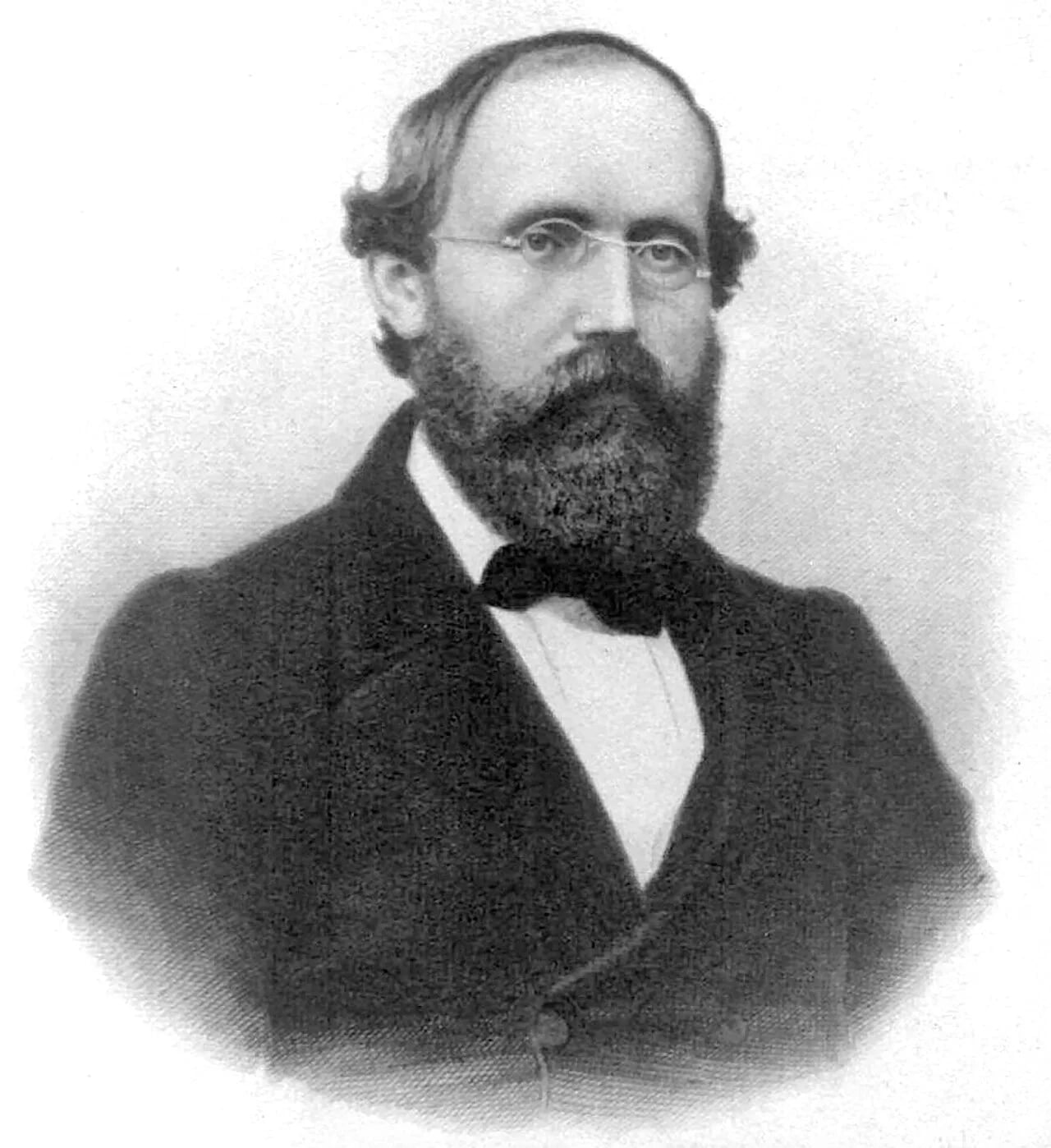 Porträt von Bernhard Riemann (1826–1866) – Gedenkseite
