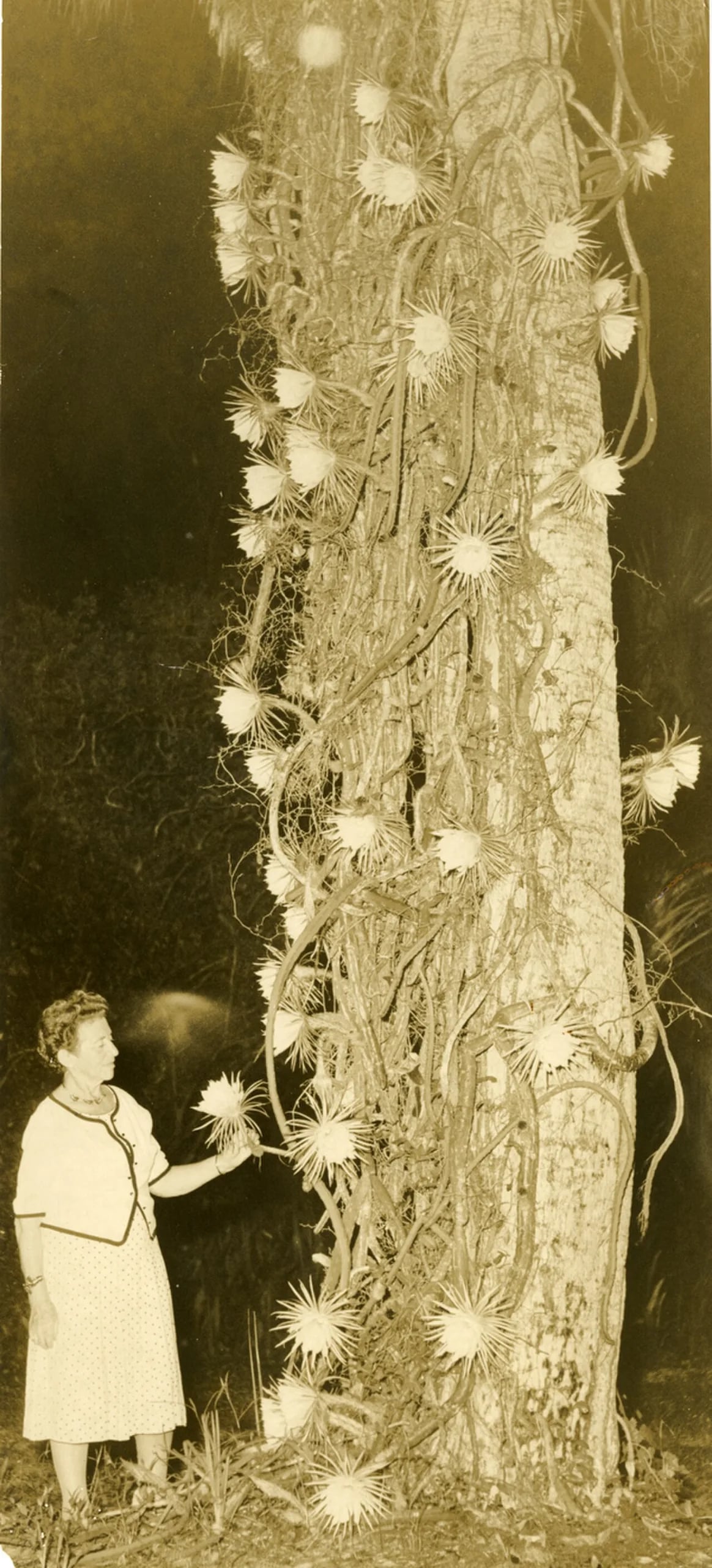 Porträt von Hedwig Michel (1892–1982) – Gedenkseite