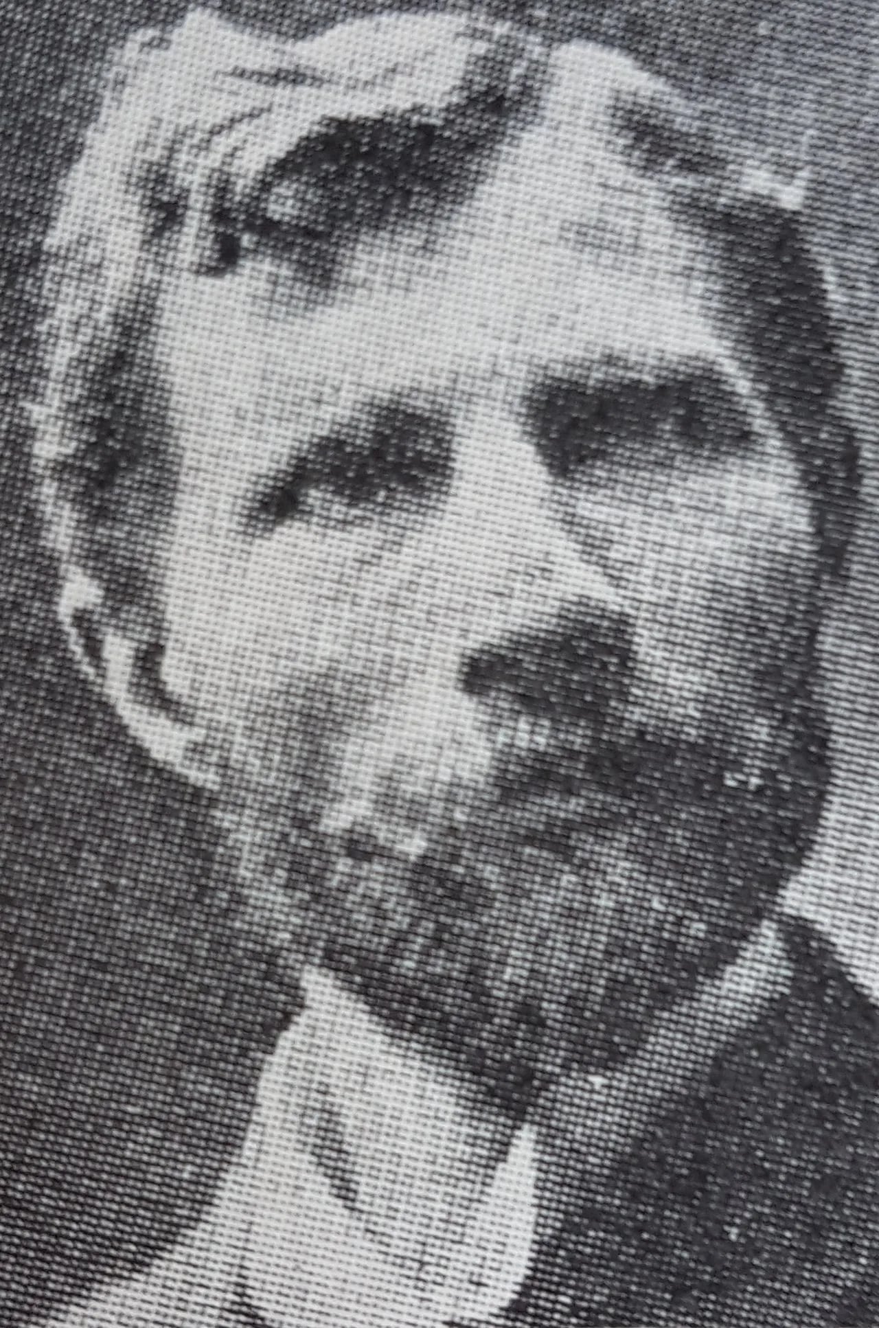 Porträt von Johan Alfred Skogh (1864–1901) – Gedenkseite