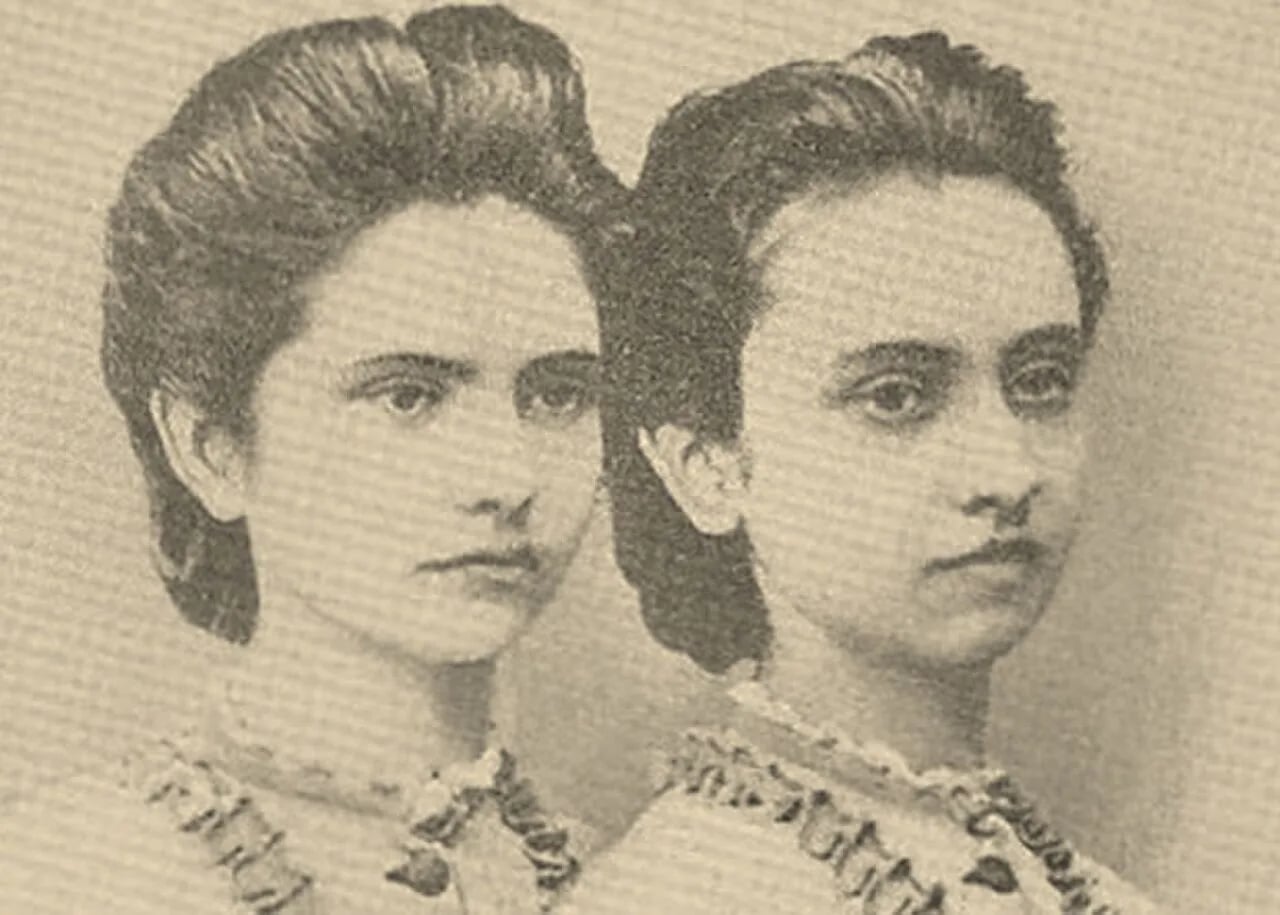 Portrait of Milica Ninković (1854–1881) – memorial page