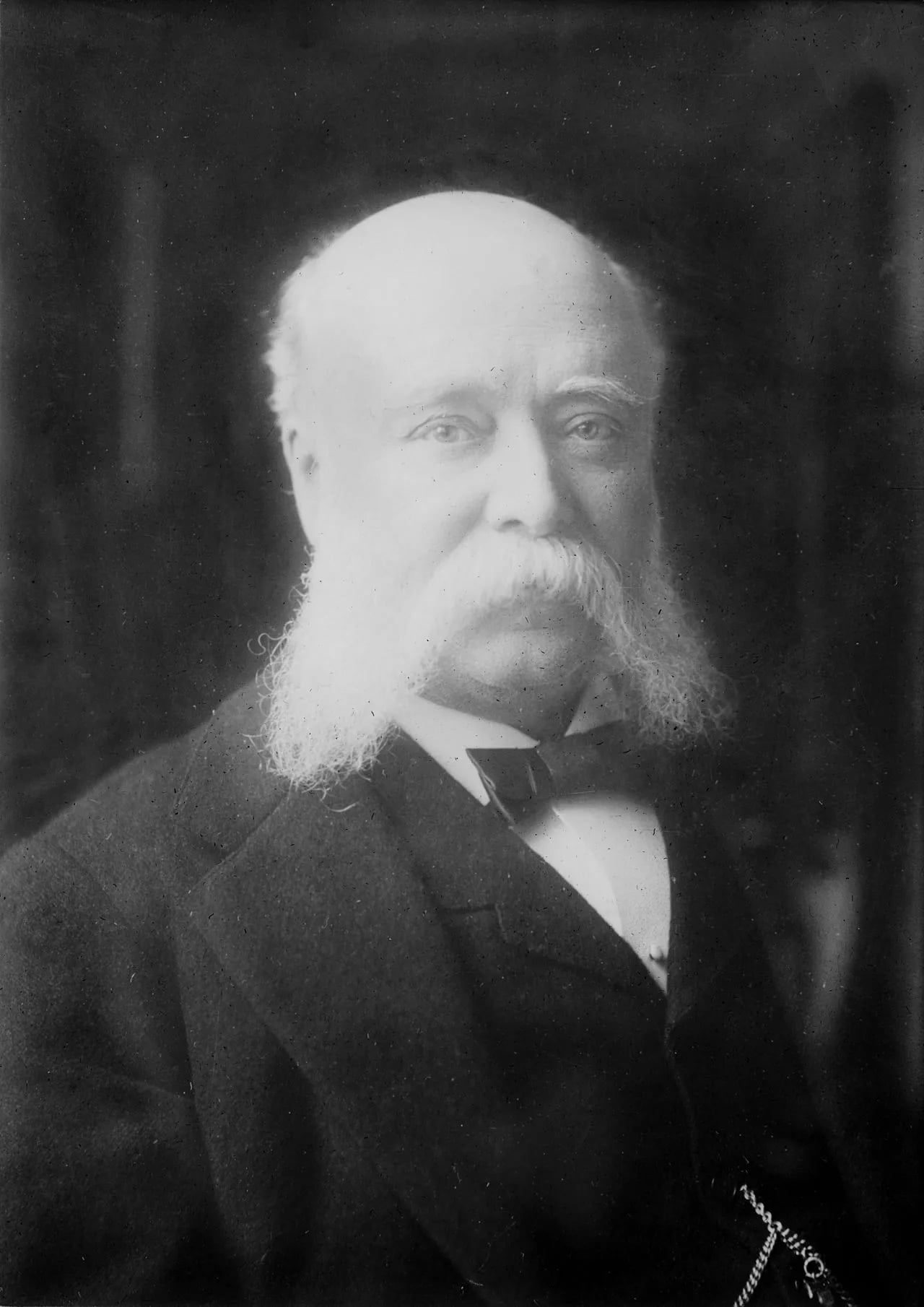 Portrait of Stewart L. Woodford (1835–1913) – memorial page