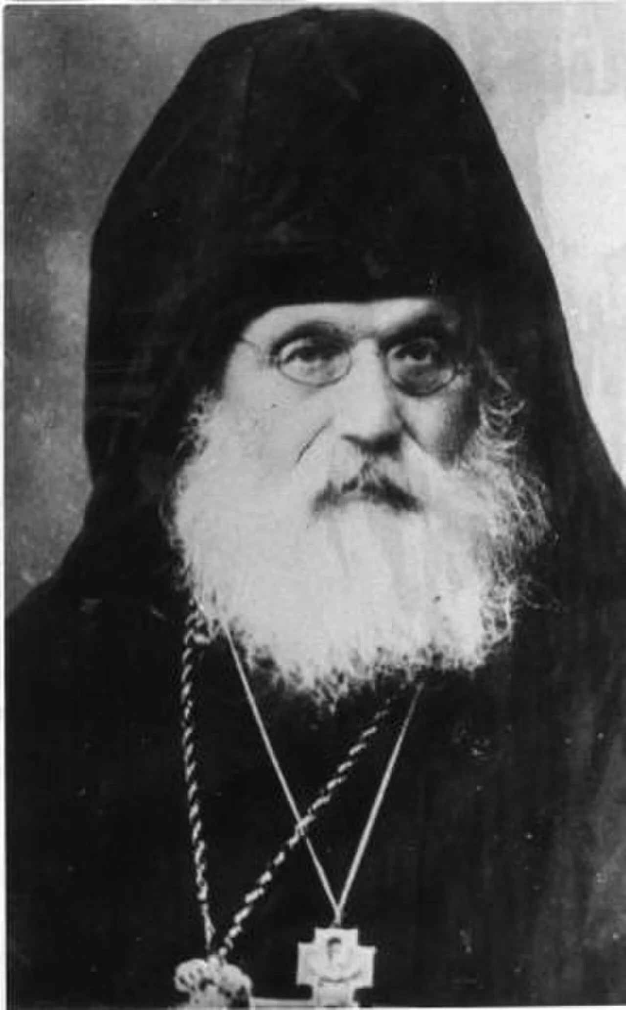 Portrait of P. A. Pozdnev (1853–1934) – memorial page