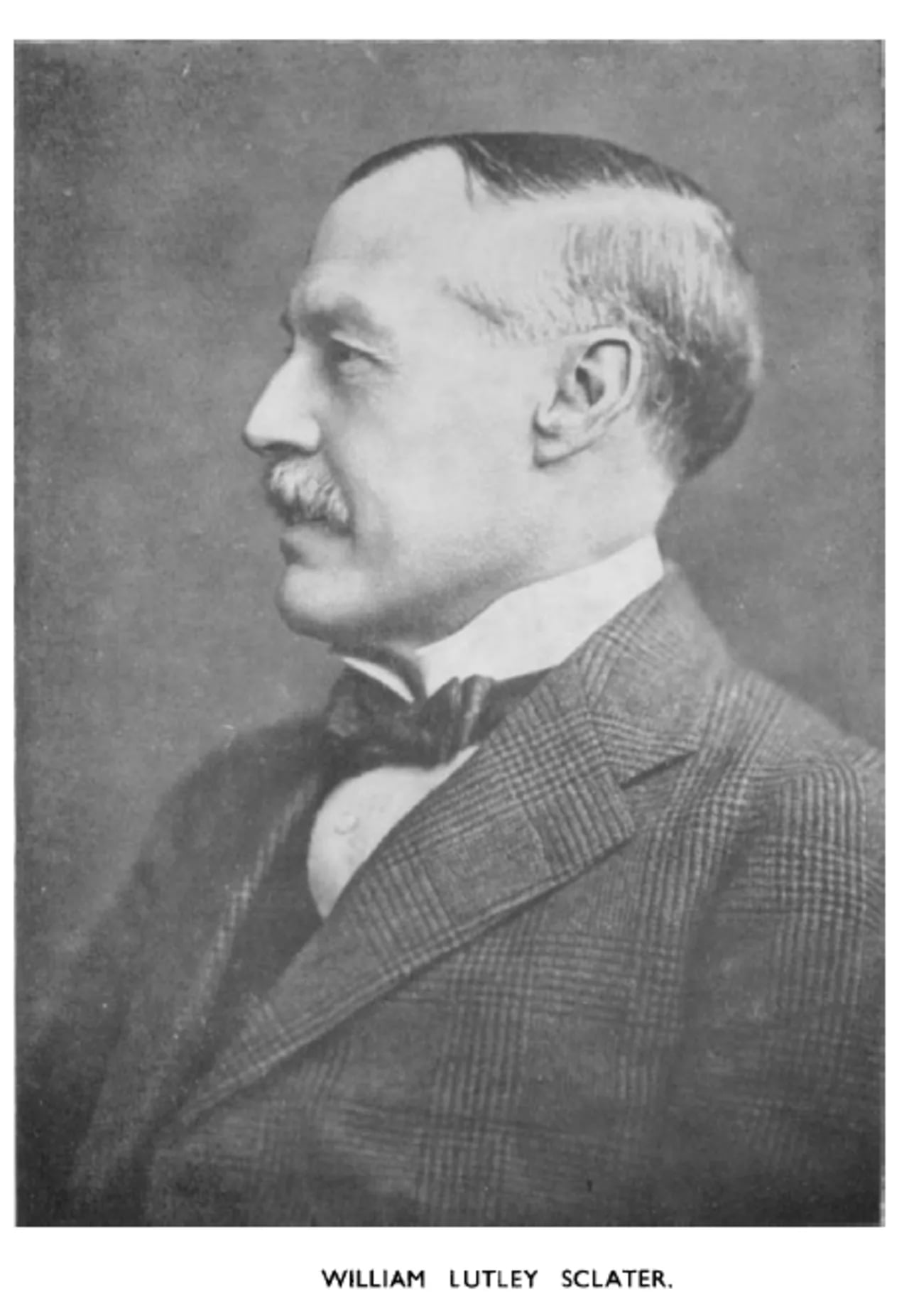 Portrait of William Lutley Sclater (1863–1944) – memorial page