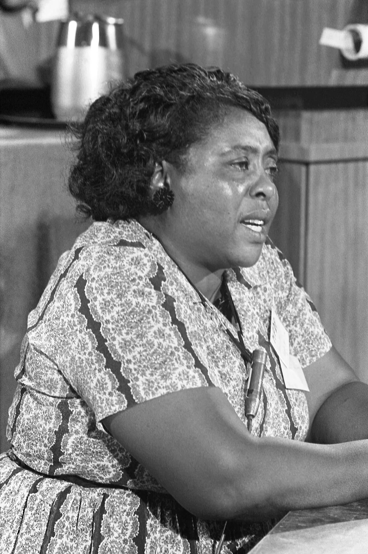 Porträt von Fannie Lou Hamer (1917–1977) – Gedenkseite