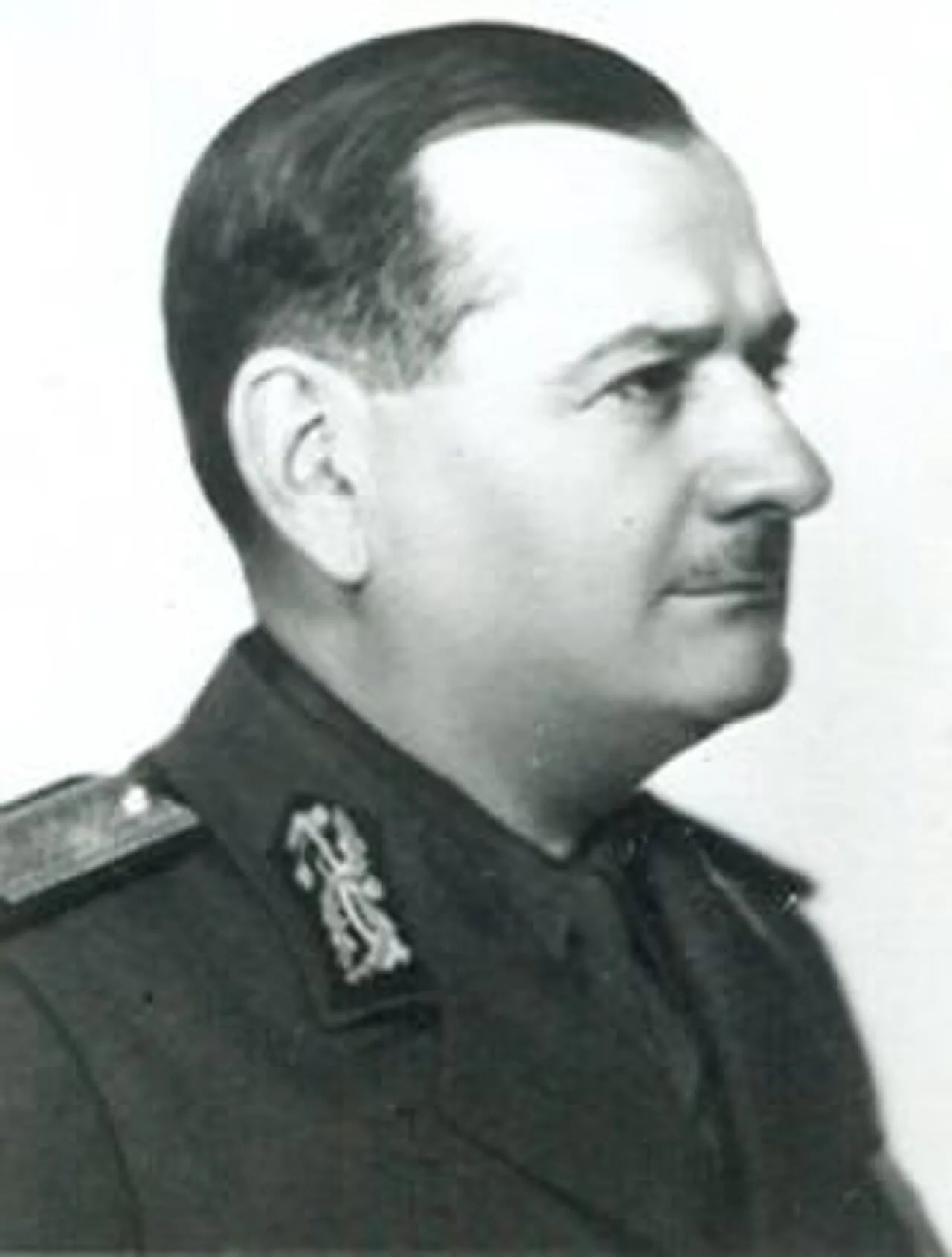 Porträt von Ilie Șteflea (1886–1946) – Gedenkseite