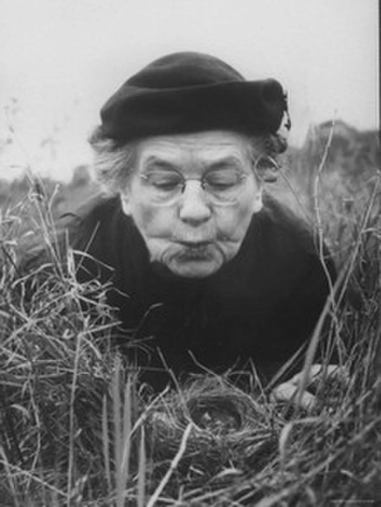 Portrait of Margaret Morse Nice (1883–1974) – memorial page