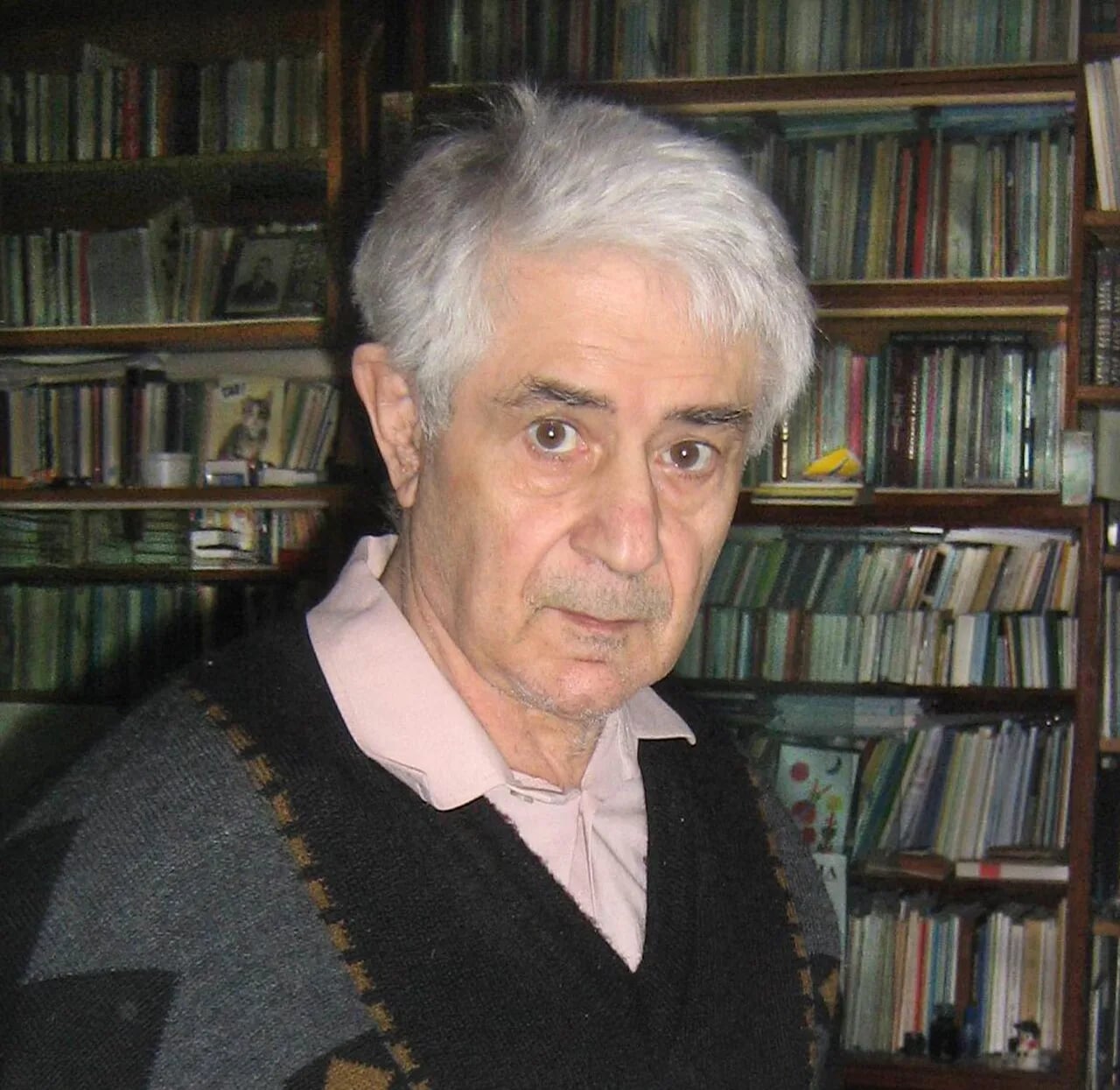 Portrait of Viktor Serbskiĭ (1933–2011) – memorial page