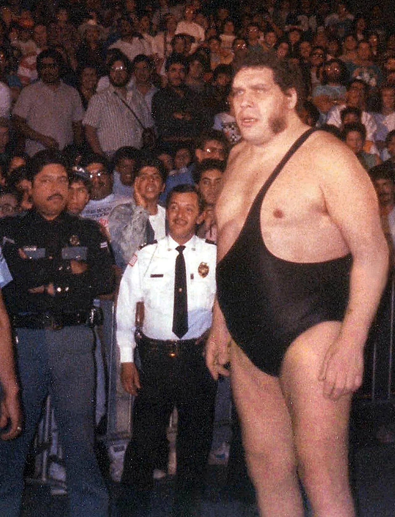 Porträt von André the Giant (1946–1993) – Gedenkseite