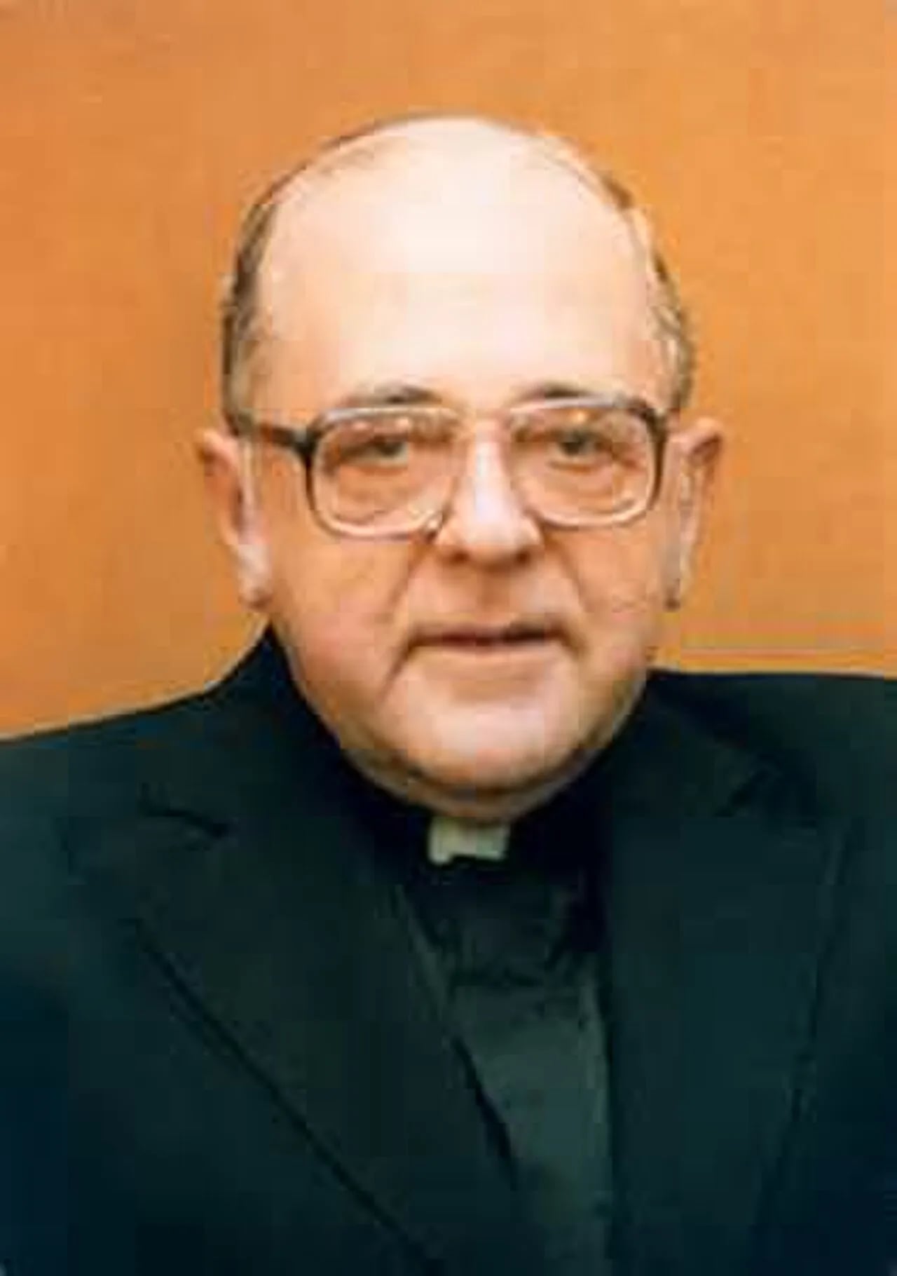 Porträt von Joseph Fitzmyer (1920–2016) – Gedenkseite