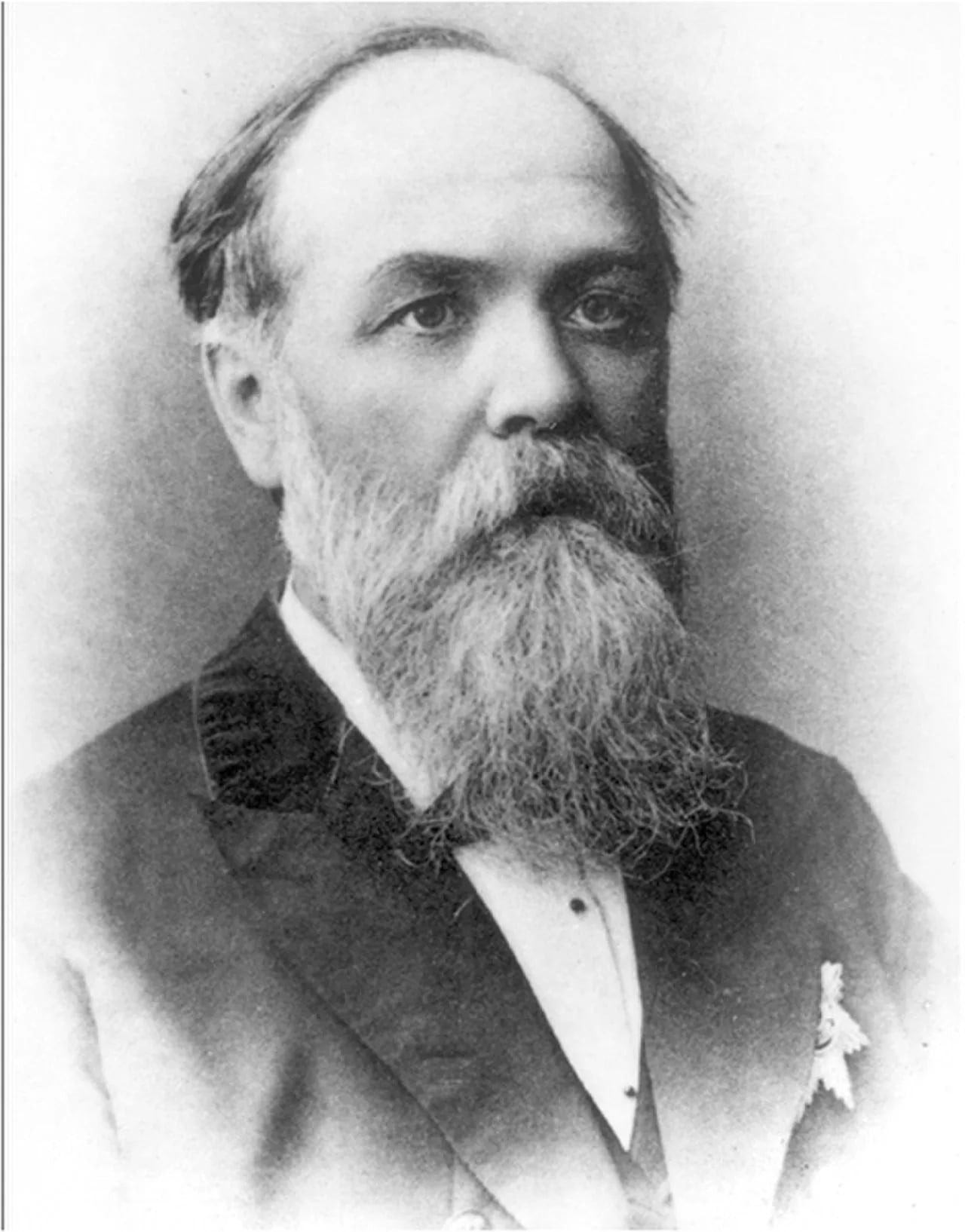 Portrait of Fedor Nikiforovich Shvedov (1840–1905) – memorial page