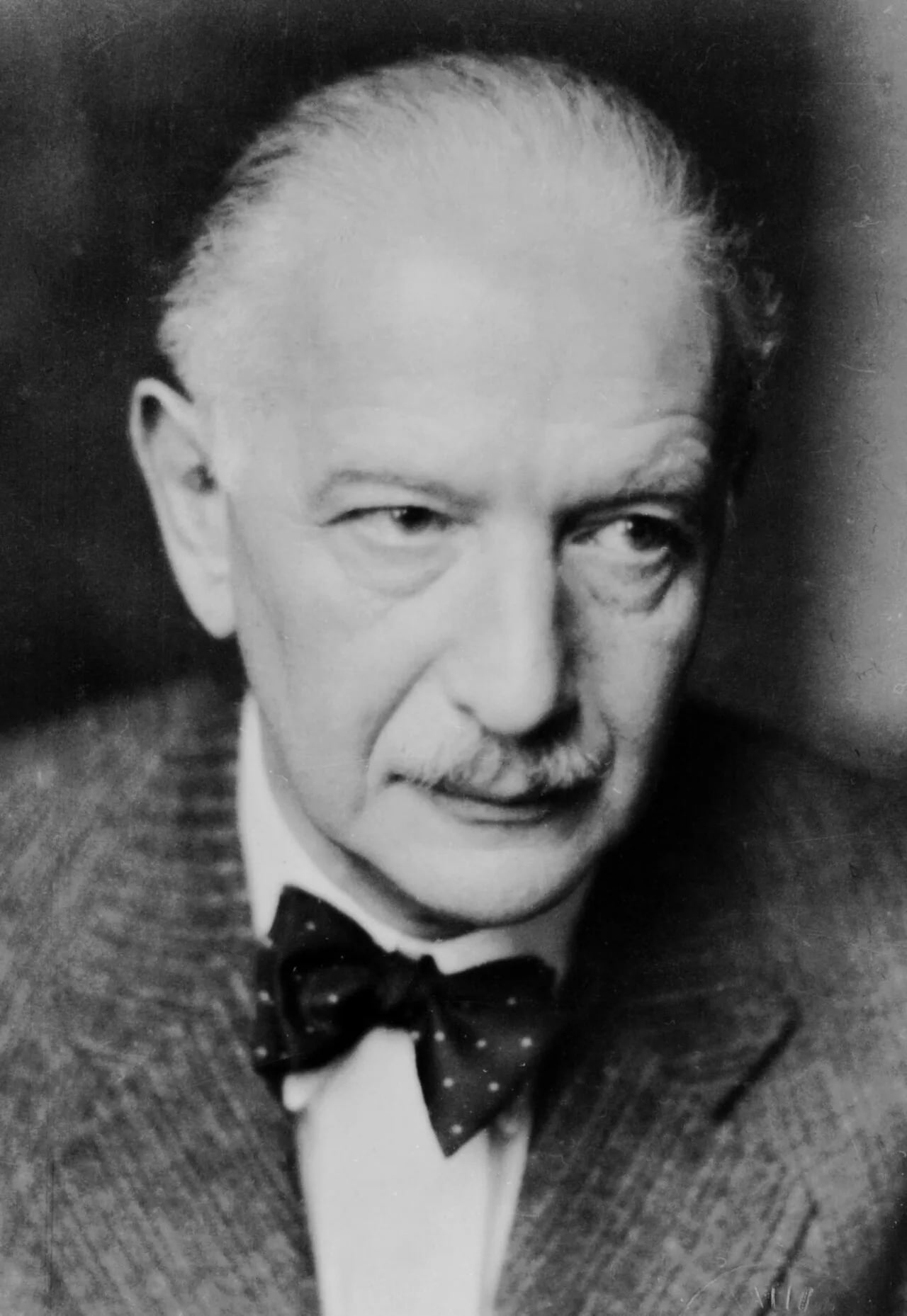 Portrait of Alfred Polgar (1873–1955) – memorial page