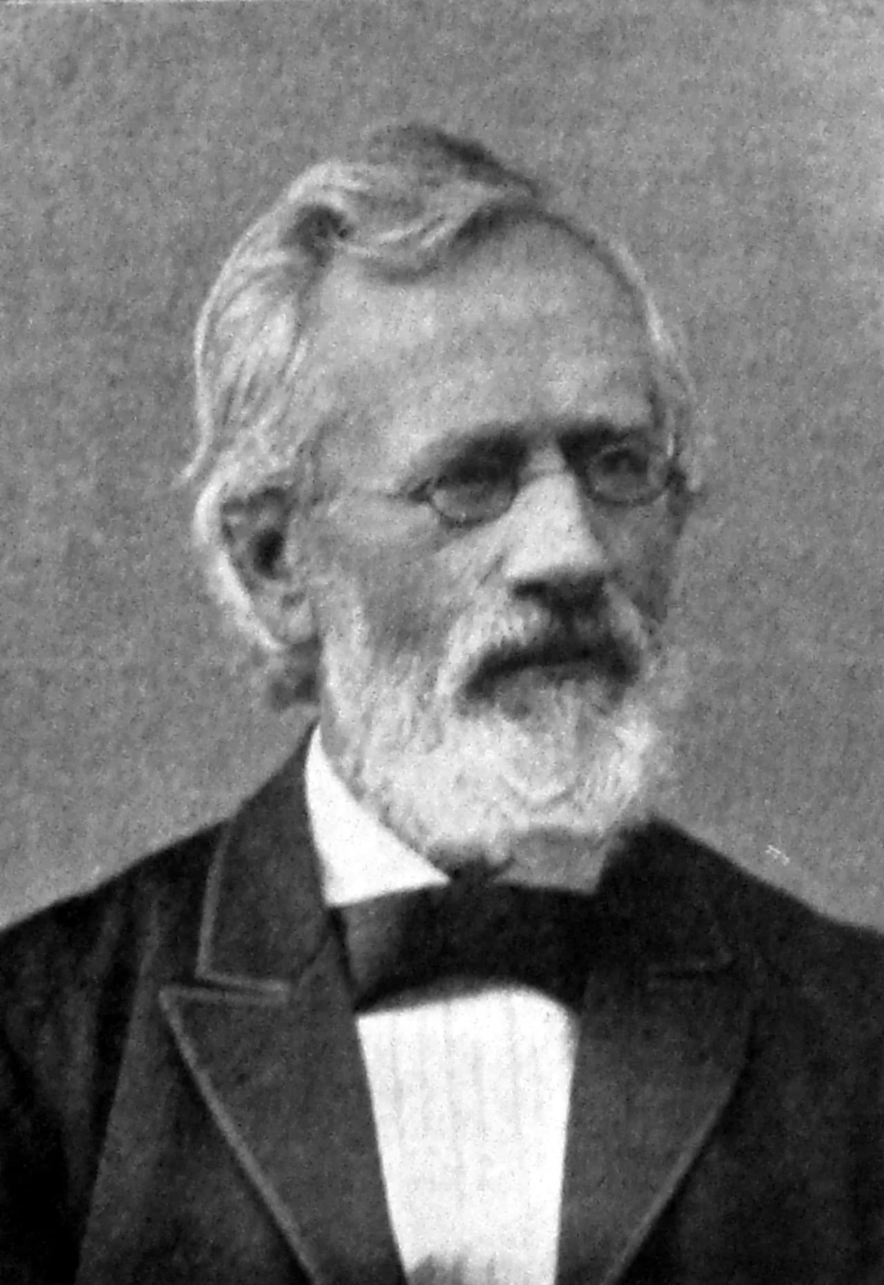 Porträt von Gisle Johnson (1822–1894) – Gedenkseite