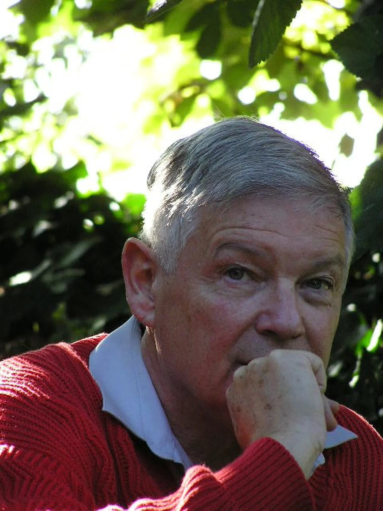 Portrait of László Marton (1943–2019) – memorial page
