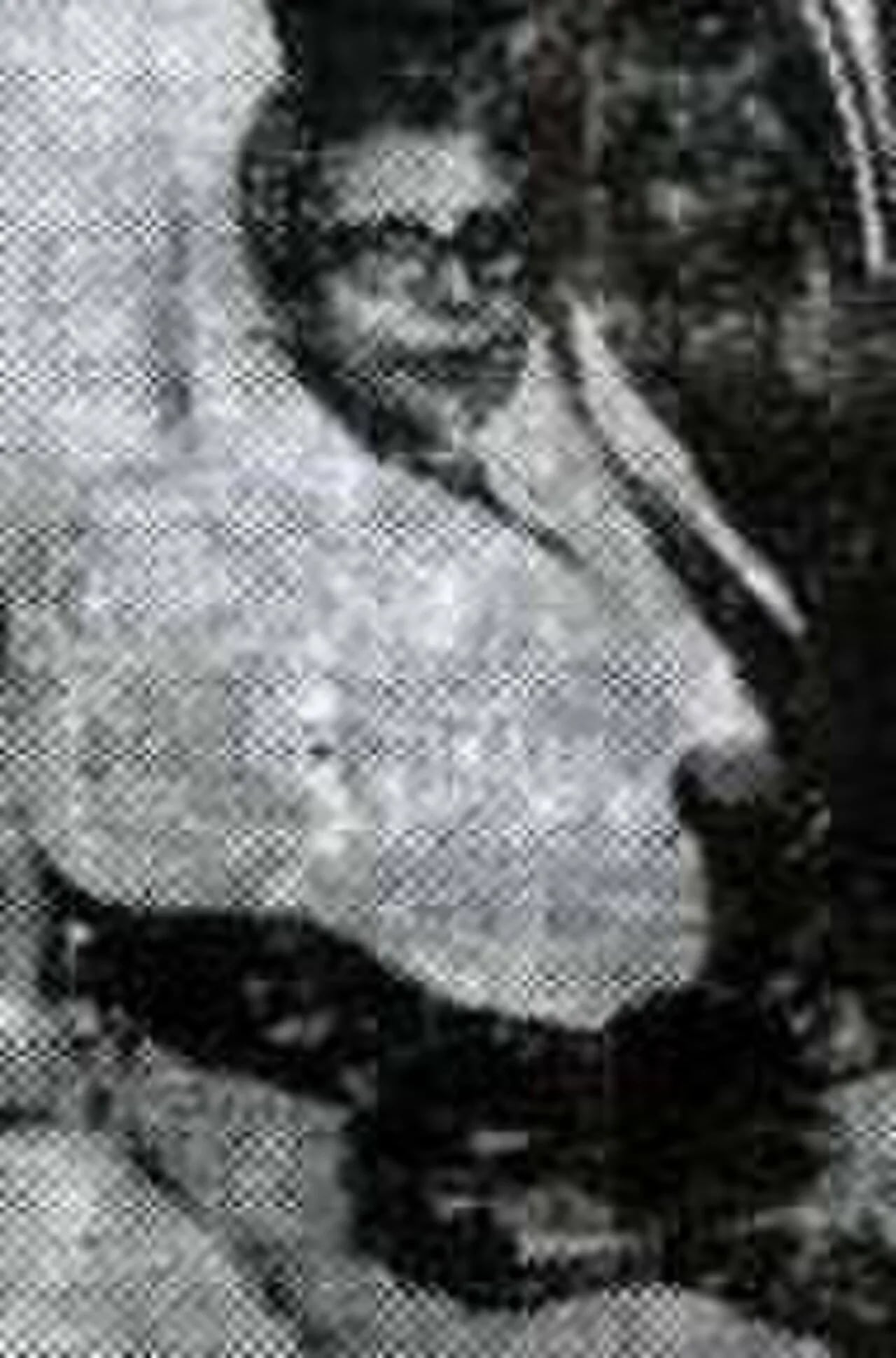 Portrait of Mahadevi Varma (1907–1987) – memorial page