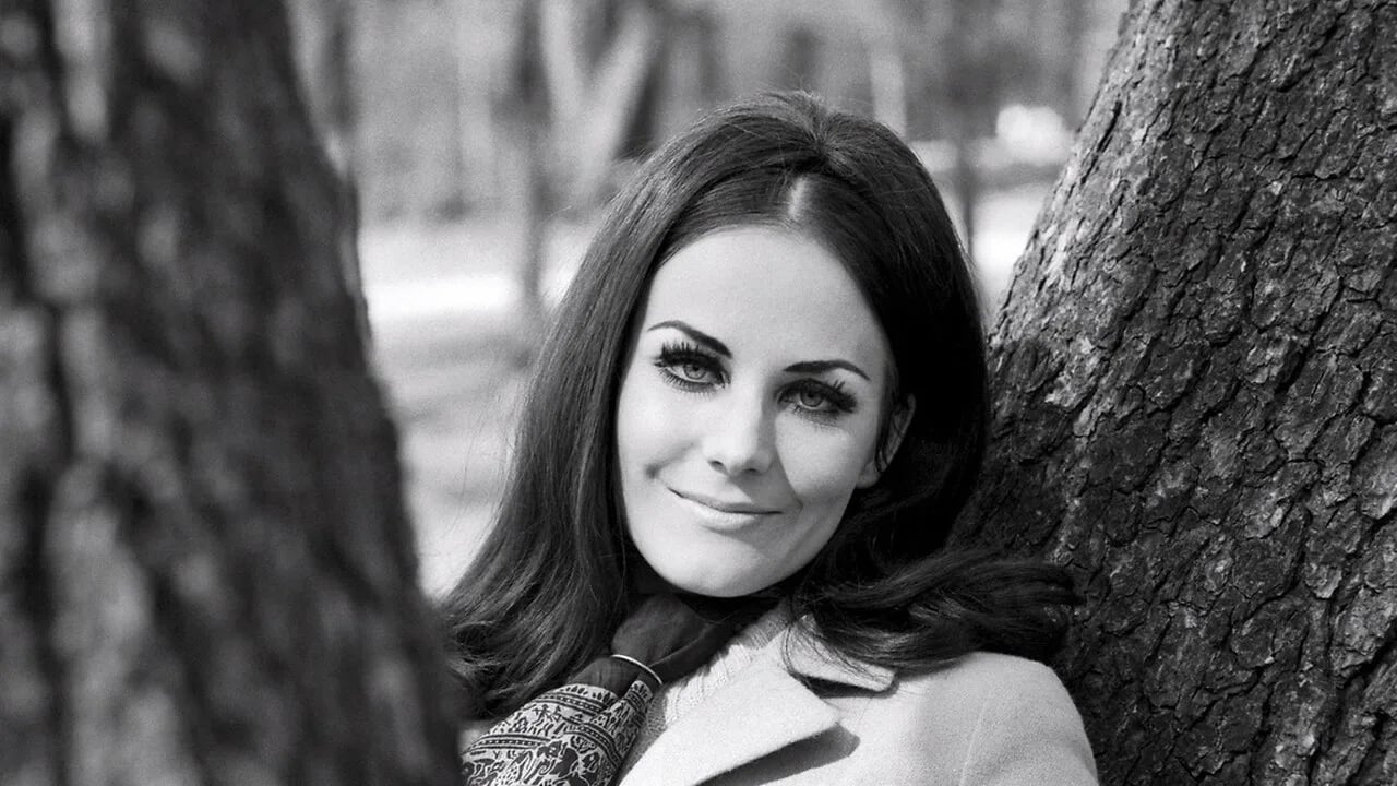 Porträt von Seija Simola (1944–2017) – Gedenkseite