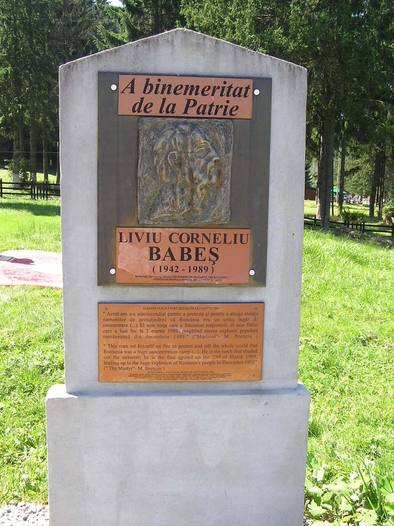 Porträt von Liviu Cornel Babeș (1942–1989) – Gedenkseite