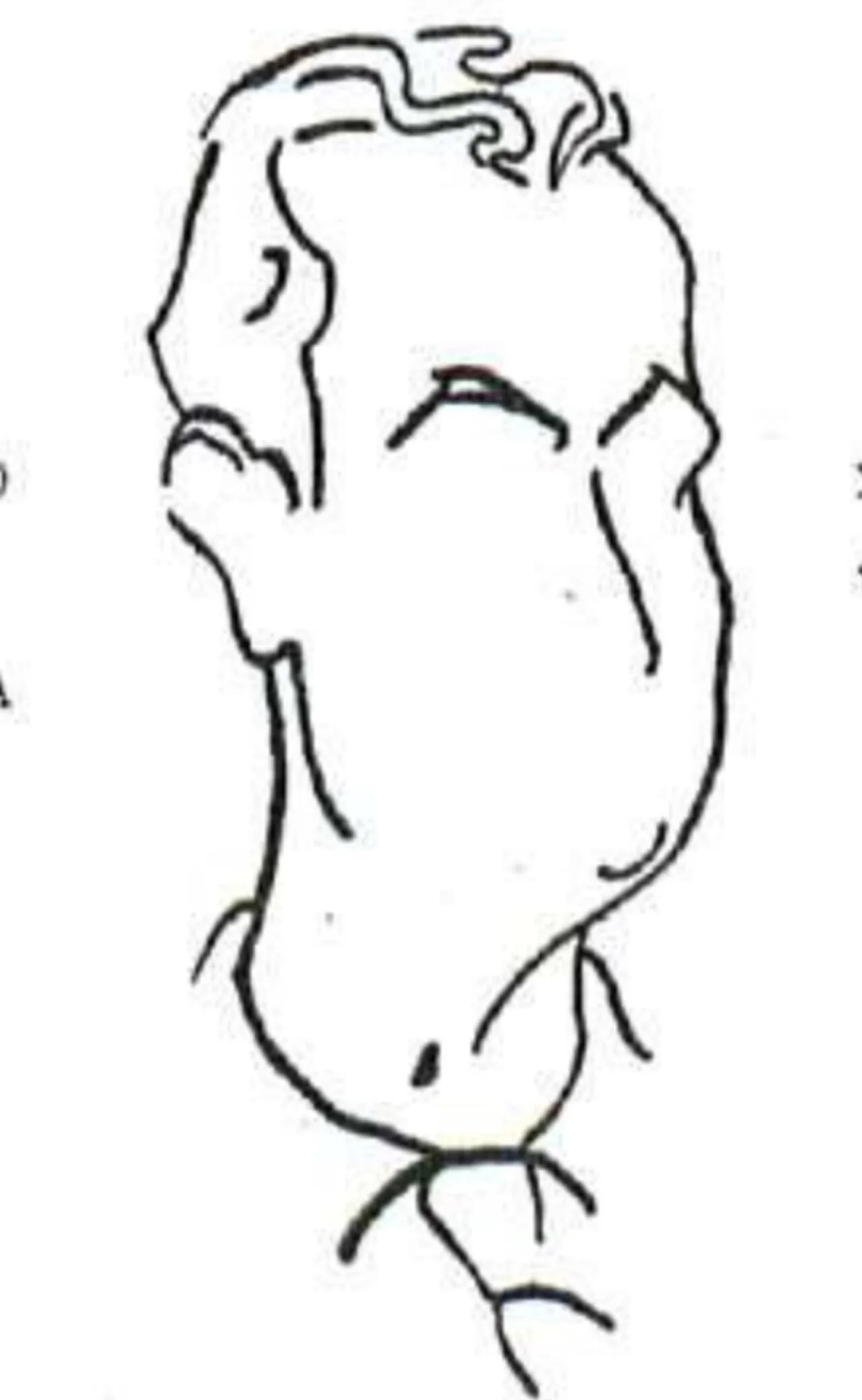 Portrait of Agustín Olguera (1906–1942) – memorial page