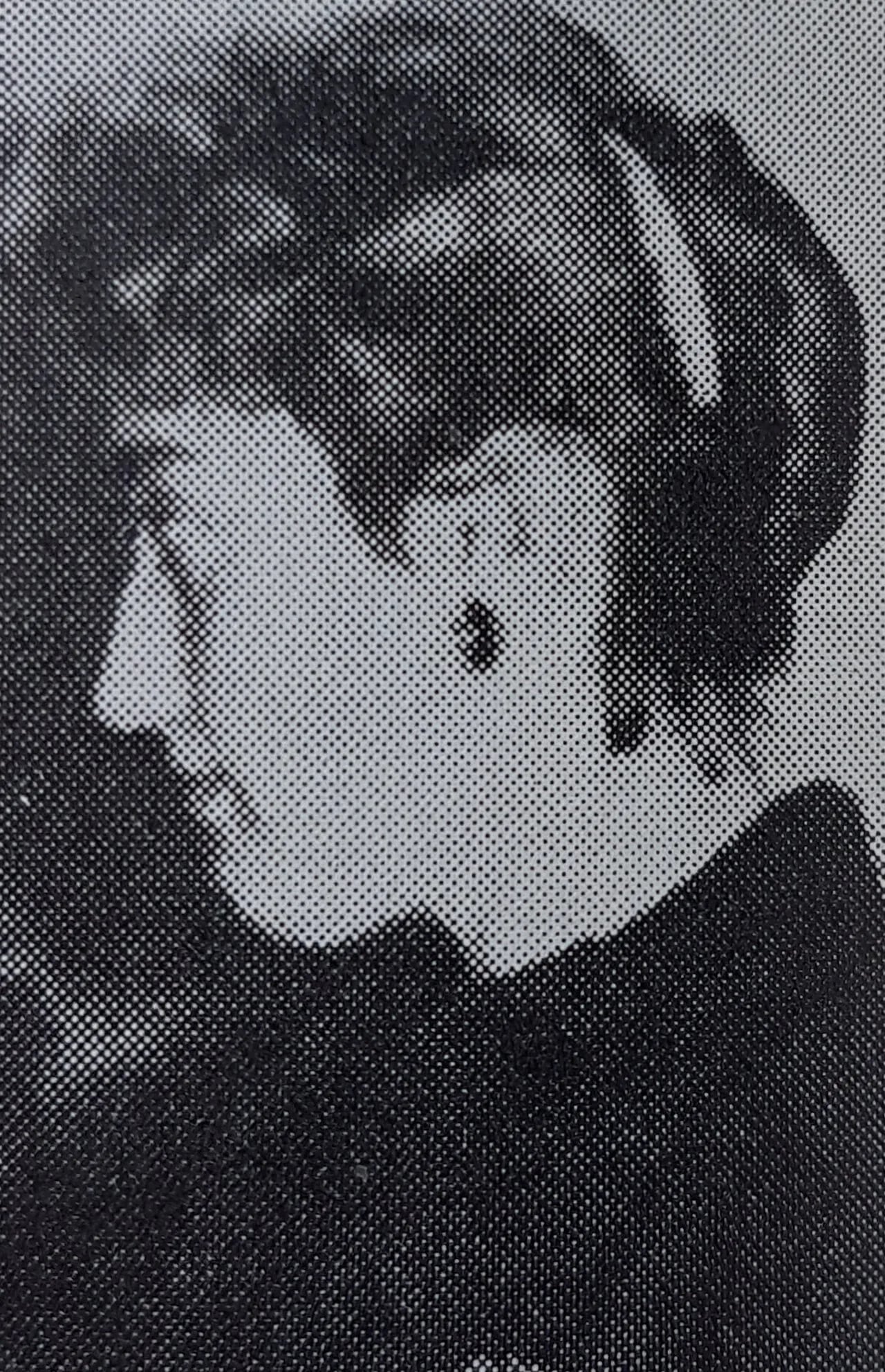 Portrait of Anna-Stina Nilstoft (1928–2017) – memorial page