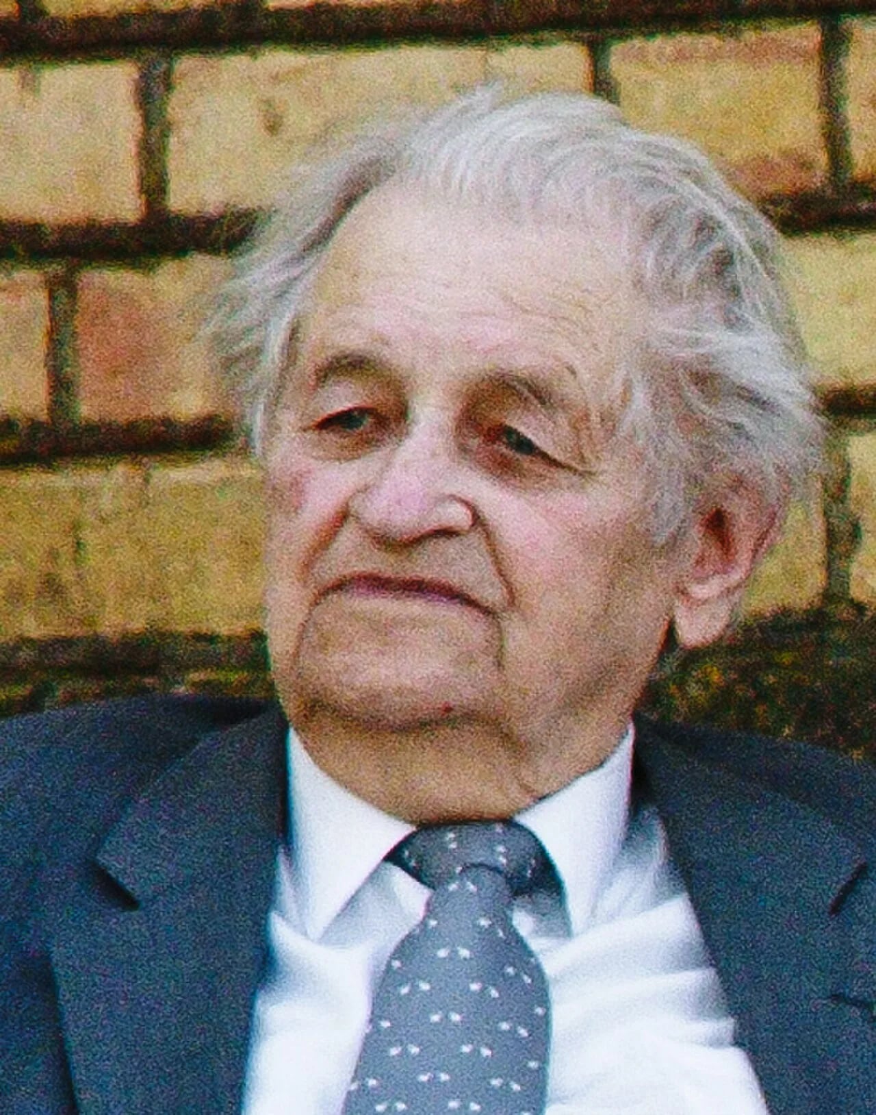 Portrait of Zigmas Zinkevičius (1925–2018) – memorial page