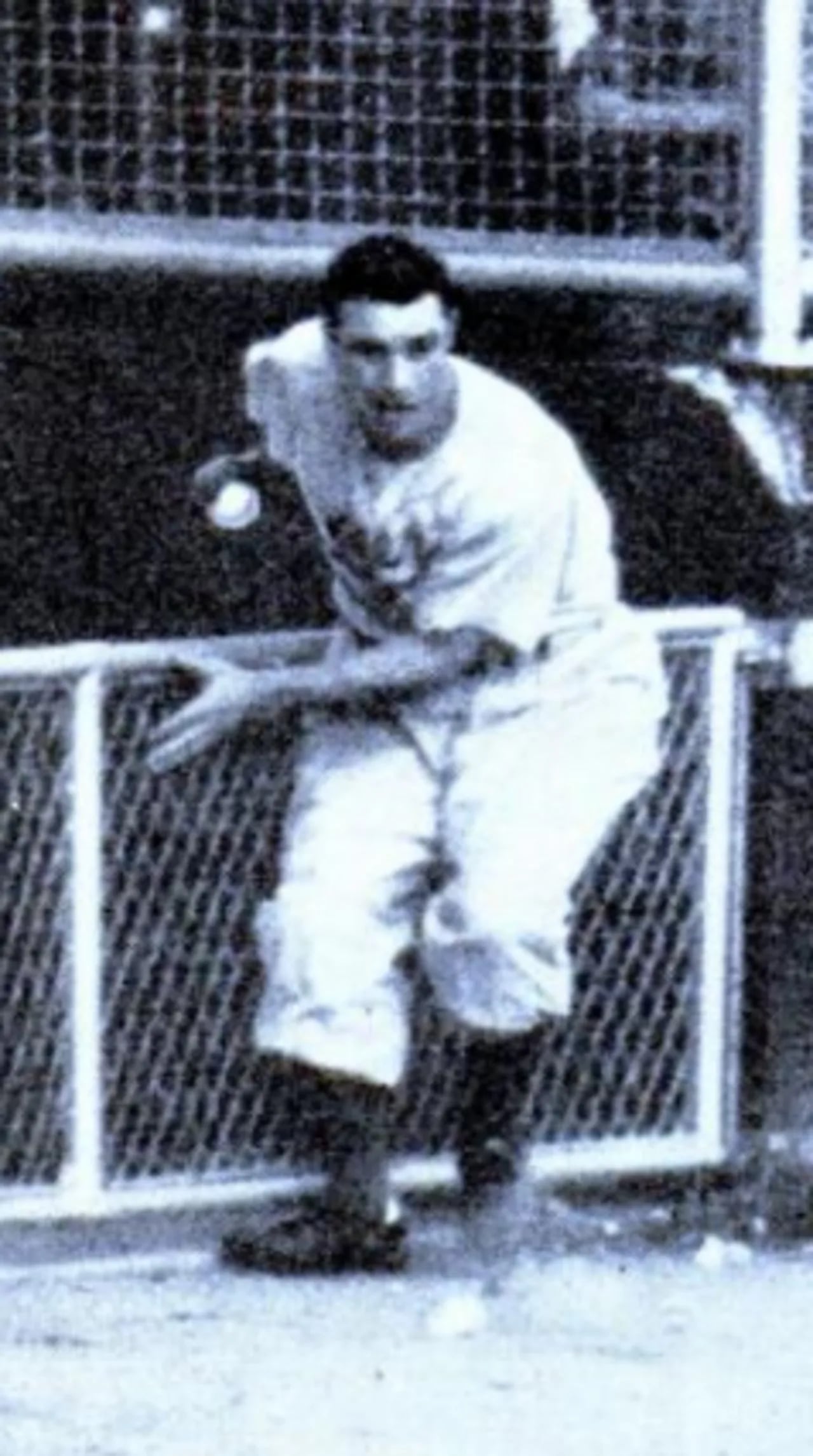Porträt von Al Gionfriddo (1922–2003) – Gedenkseite