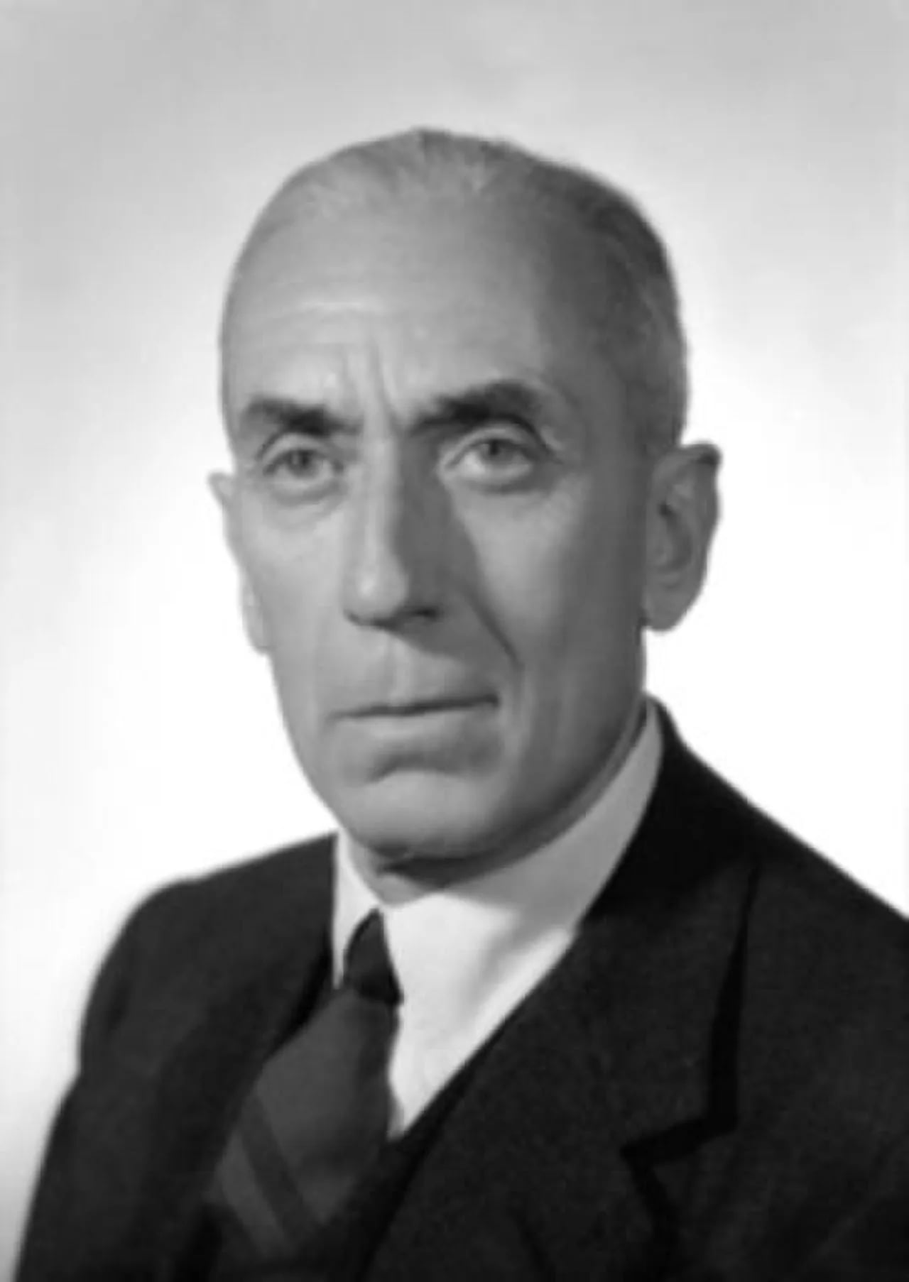 Porträt von Raffaele Cadorna der Jüngere (1889–1973) – Gedenkseite
