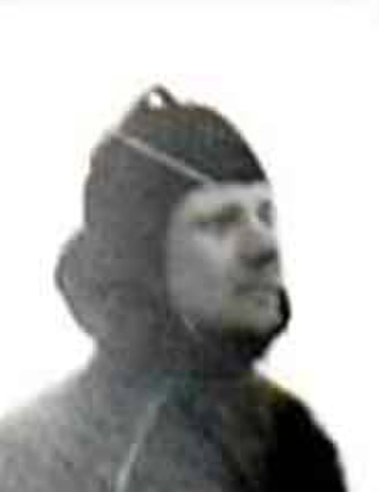 Porträt von Alexander Pfitzner (1880–1910) – Gedenkseite
