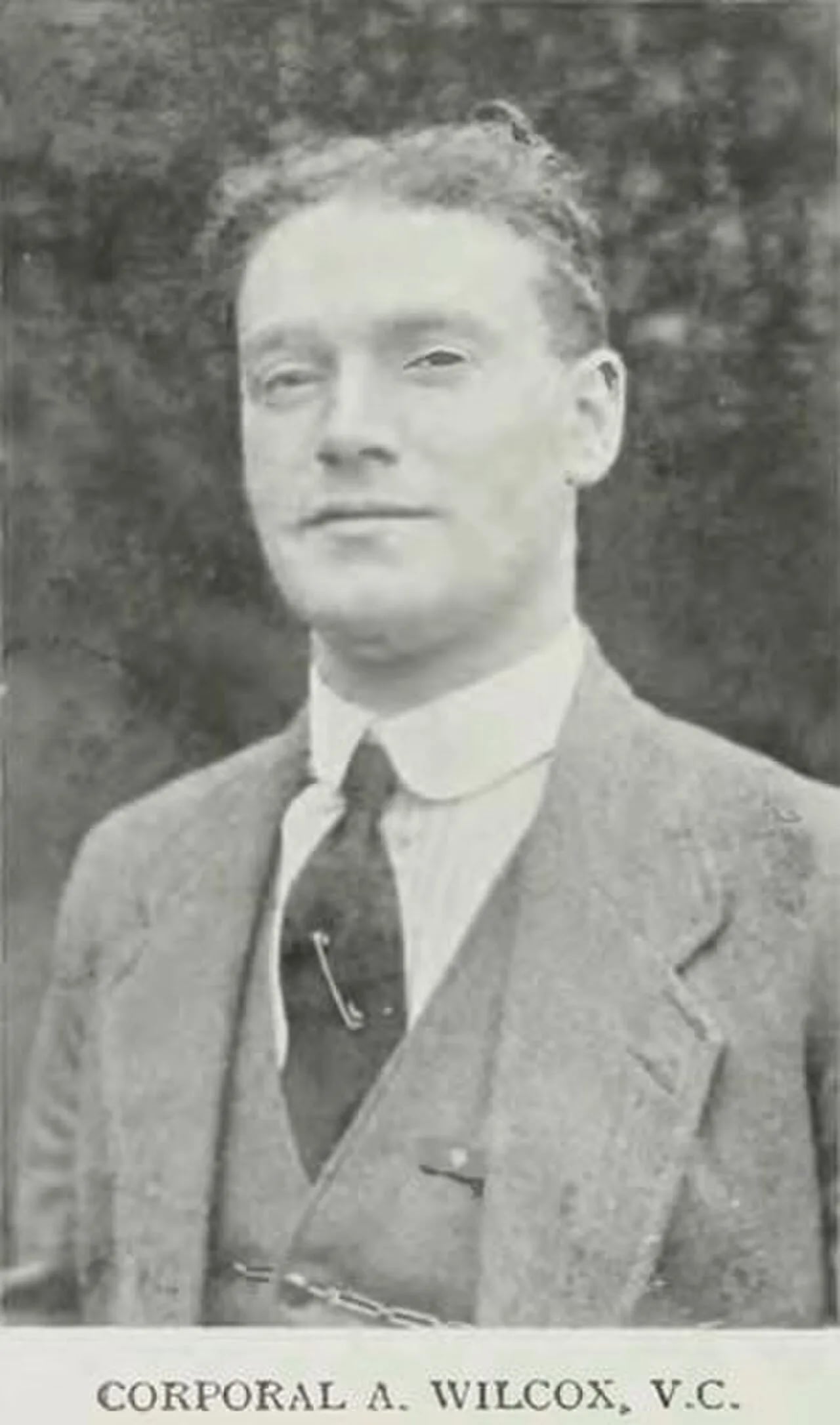 Portrait of Alfred Wilcox (1884–1954) – memorial page