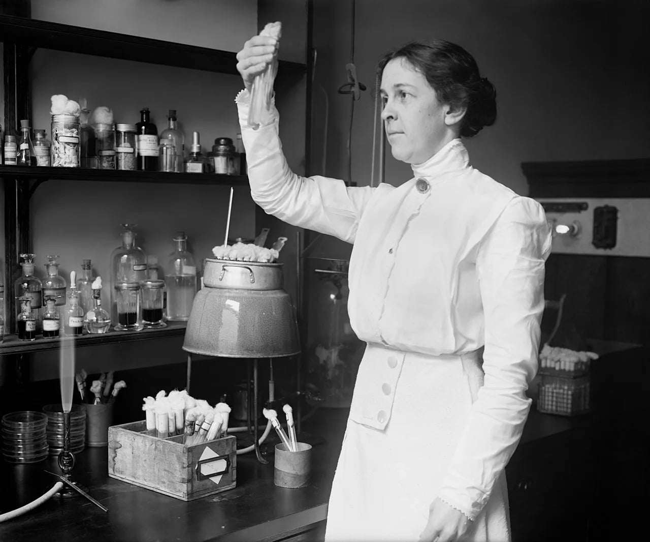 Porträt von Alice Catherine Evans (1881–1975) – Gedenkseite