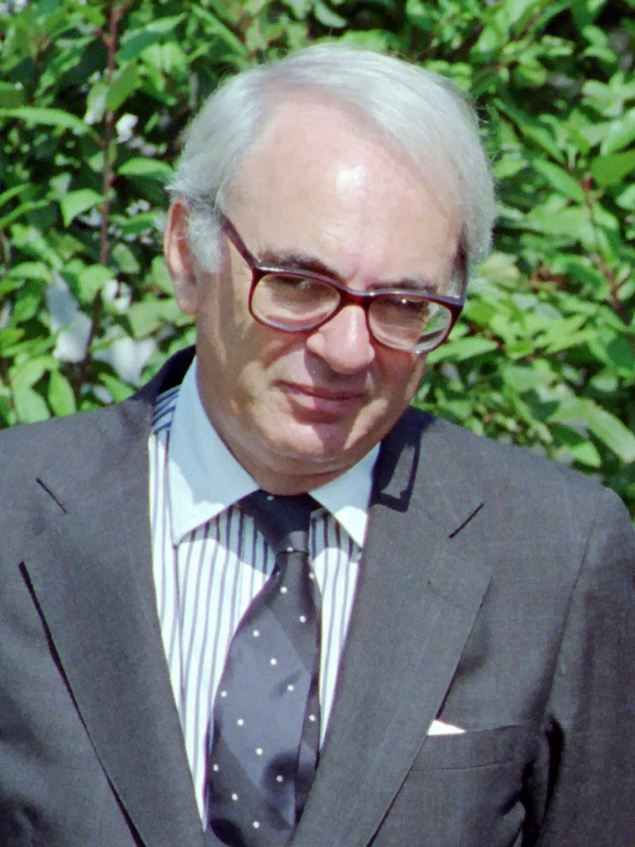 Portrait of Allan Gotlieb (1928–2020) – memorial page