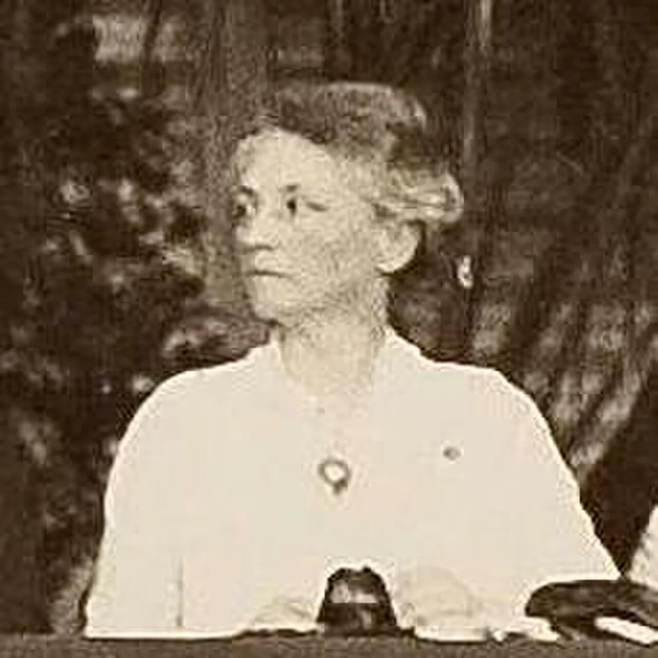 Portrait of Anna Kleman (1862–1940) – memorial page