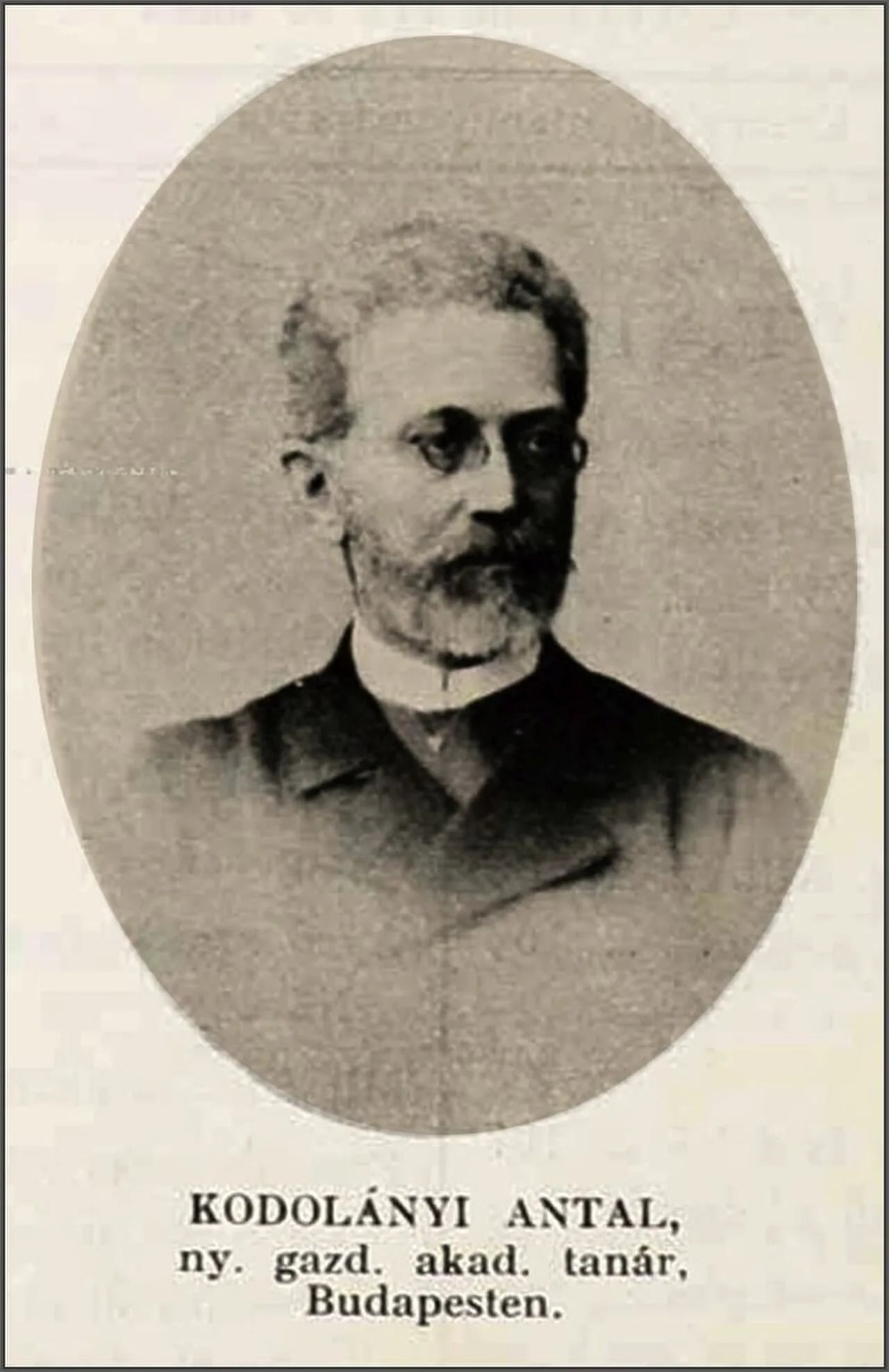 Portrait of Anton Kodolányi (1835–1910) – memorial page