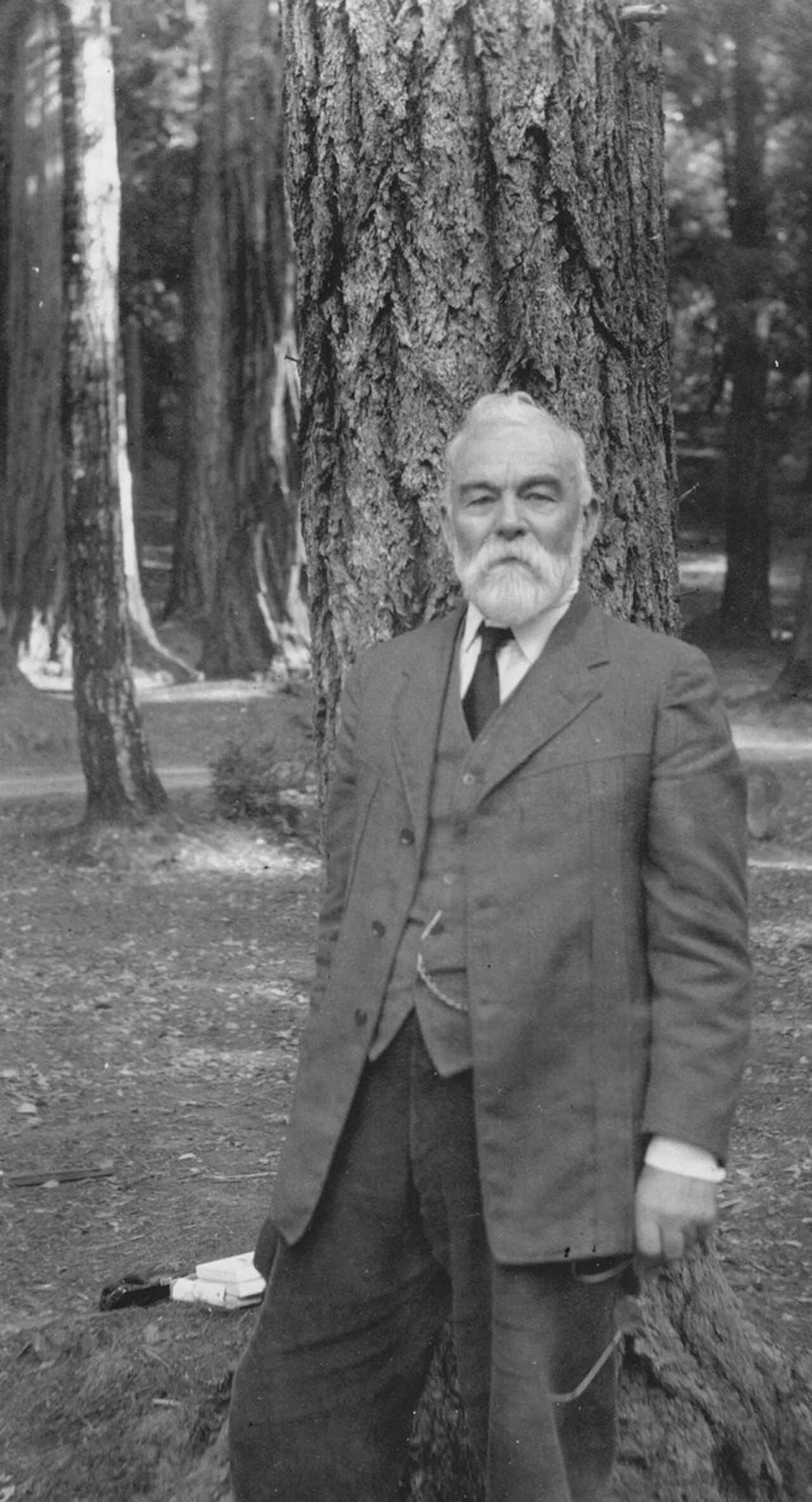 Porträt von Andrew P. Hill (1853–1922) – Gedenkseite