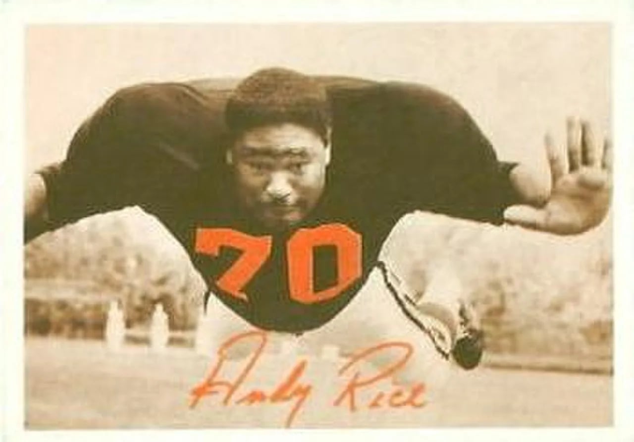 Portrait of Andy Rice (1940–2018) – memorial page
