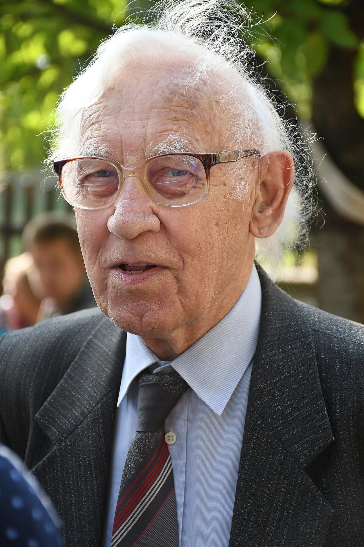 Porträt von Miroslav Frydrych (1928–2020) – Gedenkseite