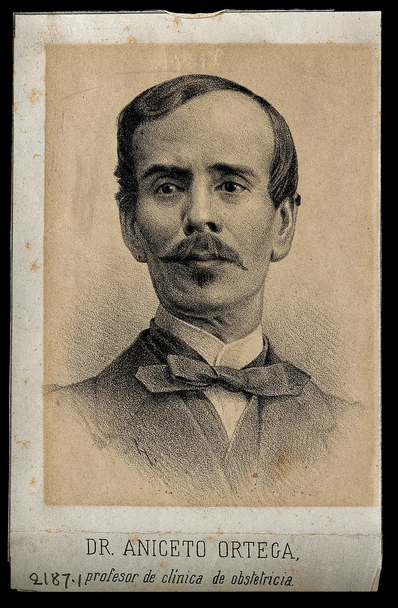 Portrait of Aniceto Ortega (1825–1875) – memorial page