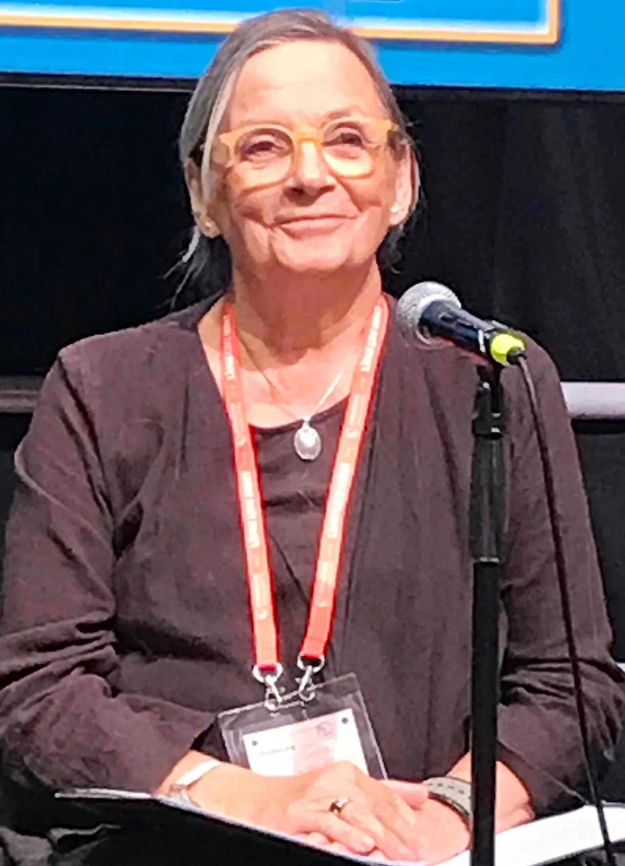Porträt von Birgit Carlstén (1949–2025) – Gedenkseite