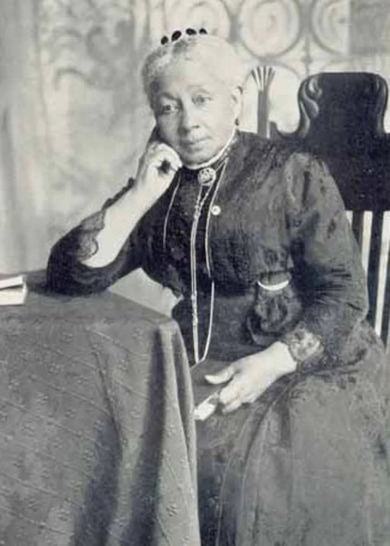 Portrait of Susan McKinney Steward (1847–1918) – memorial page