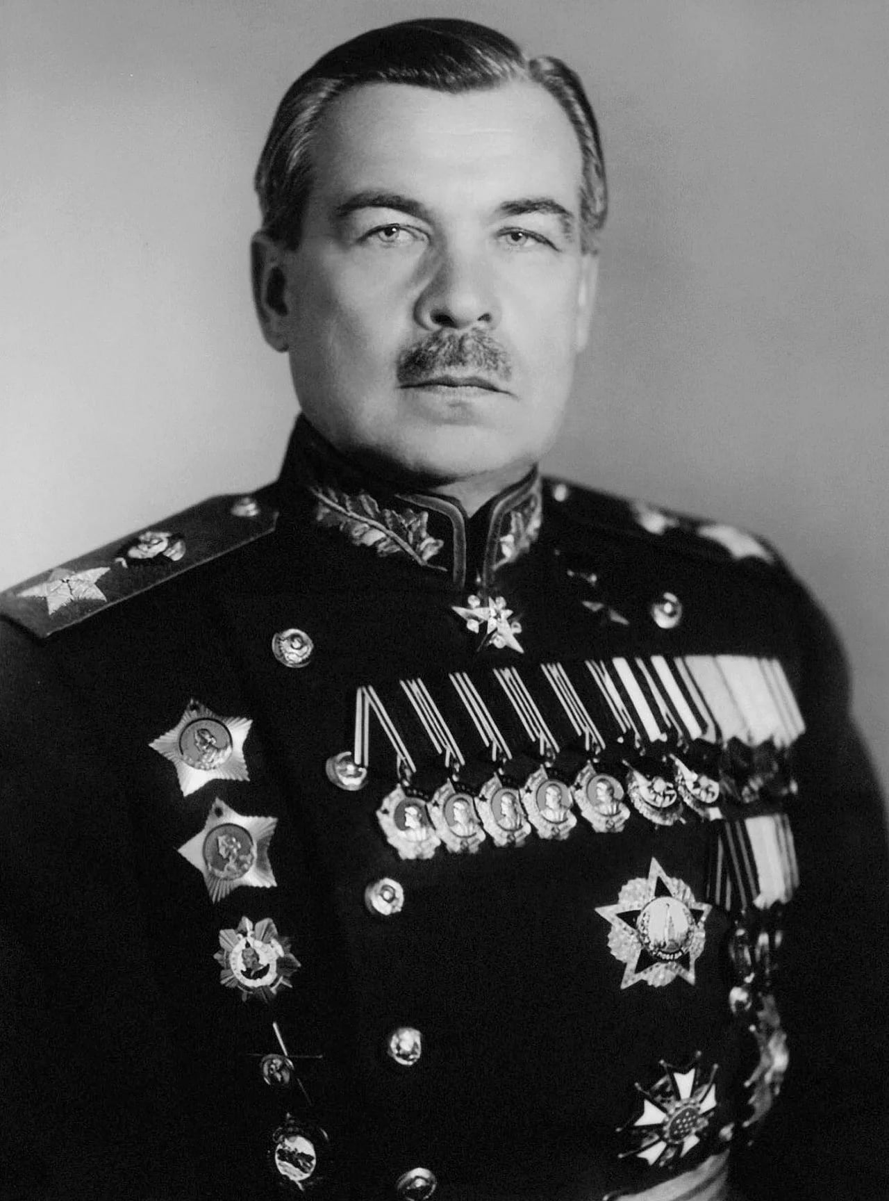 Portrait of Leonid Alexandrowitsch Goworow (1897–1955) – memorial page