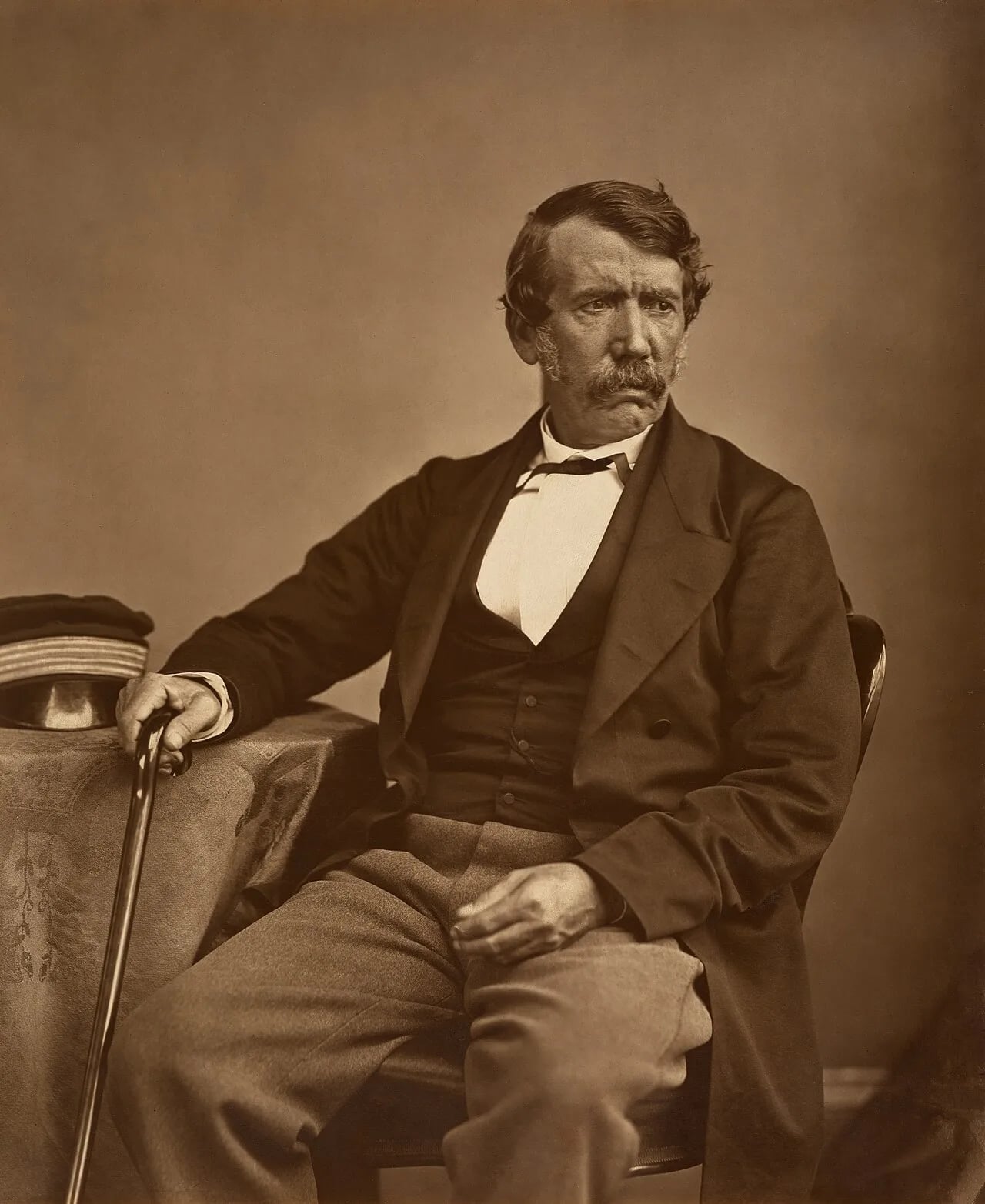 Porträt von David Livingstone (1813–1873) – Gedenkseite