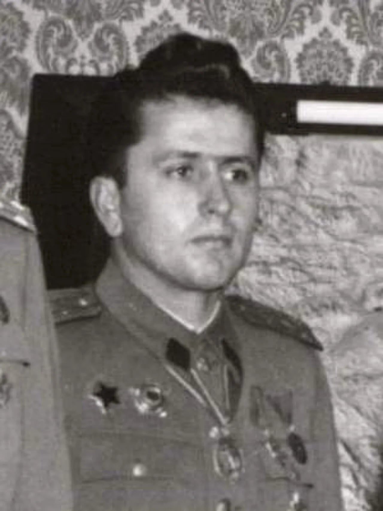 Portrait of Dušan Pekić (1921–2007) – memorial page