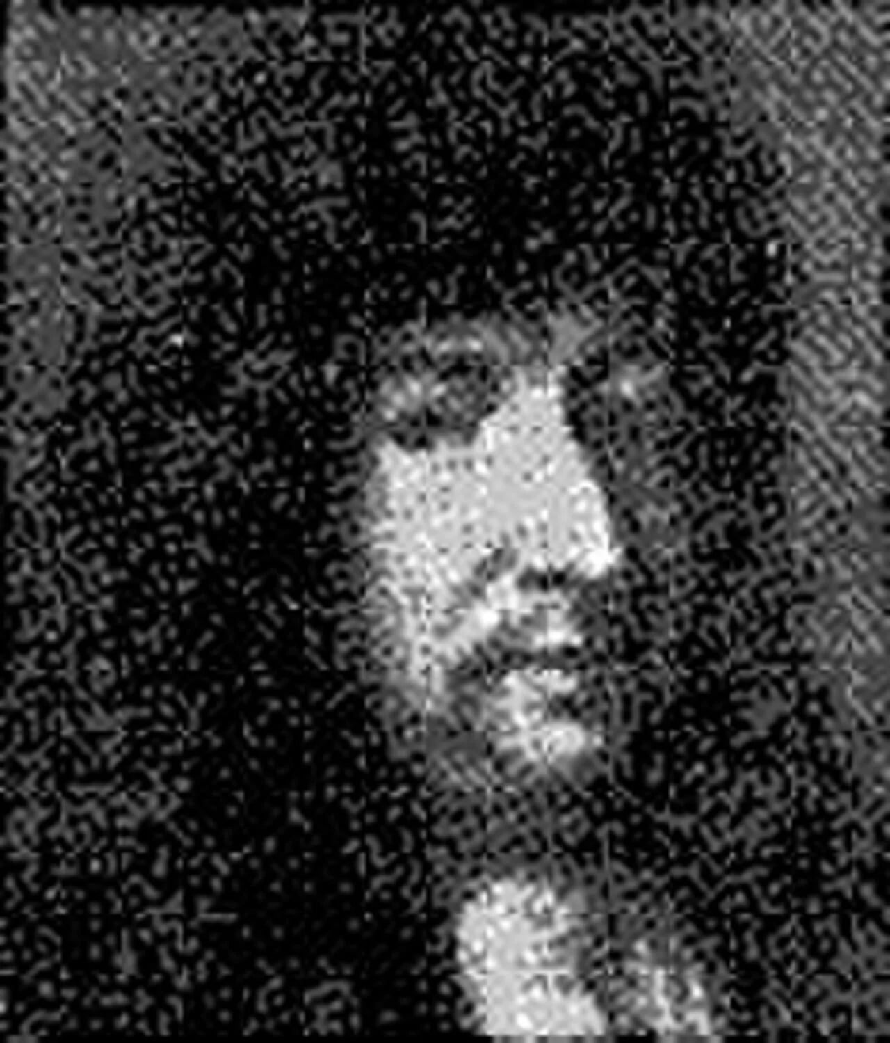 Portrait of Gustaf Lilliecrona (1623–1687) – memorial page