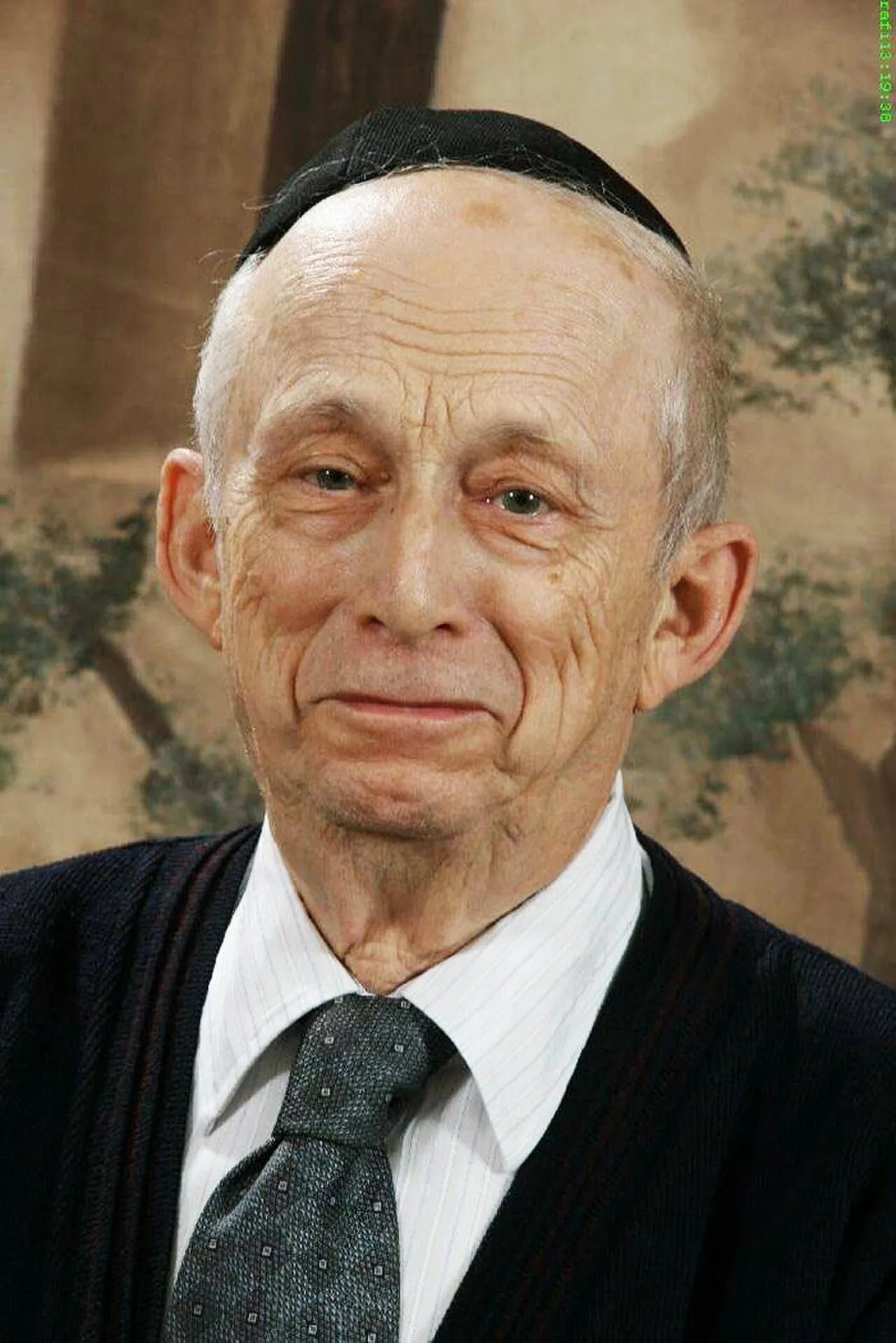 Porträt von I. M. Schlesinger (1926–2018) – Gedenkseite