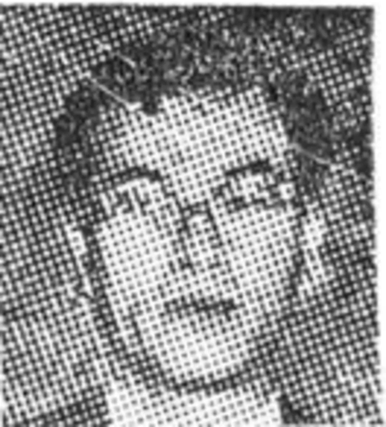 Portrait of Lee Won-kyung (1922–2007) – memorial page