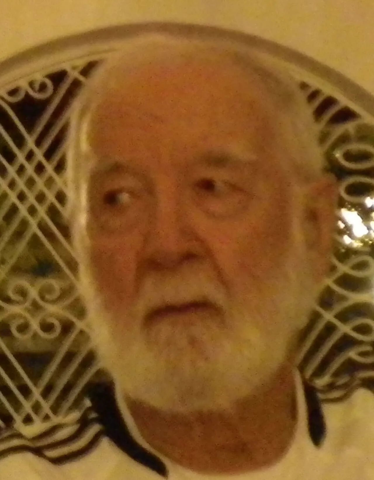 Portrait of Bernard Diederich (1926–2020) – memorial page